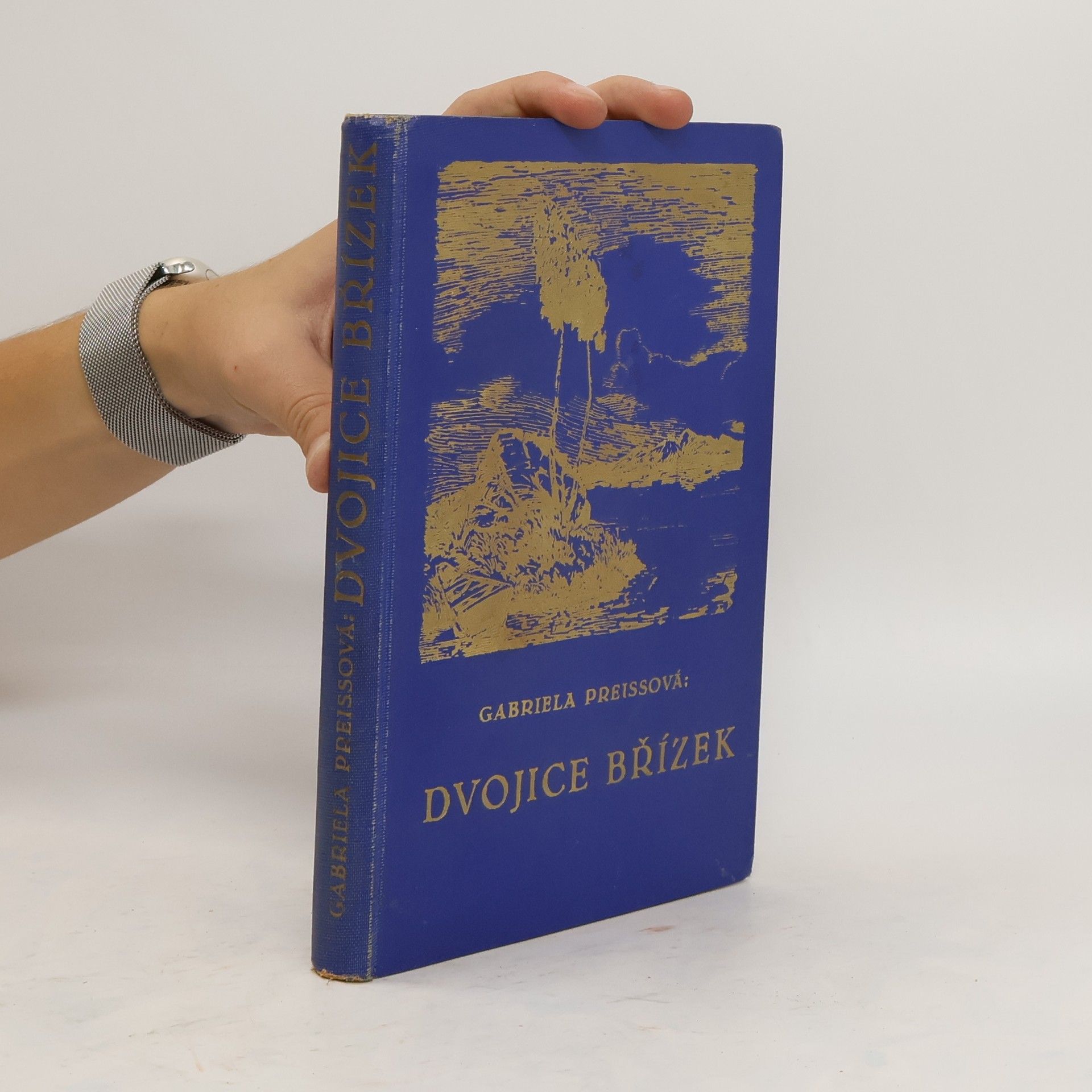 Preisová Gabriela Dvojice břízek