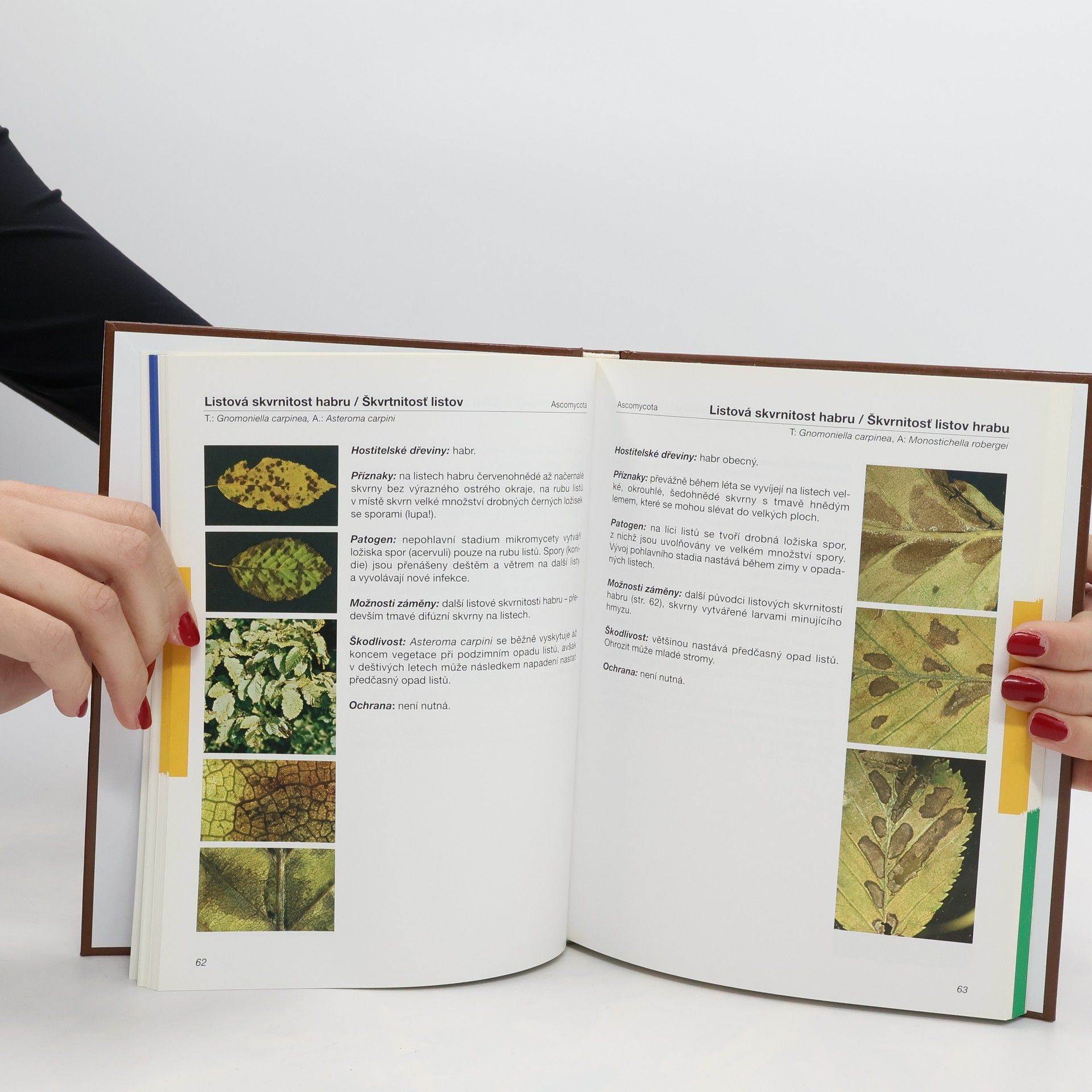 Miroslav Hluchý Atlas chorob a škůdců okrasných dřevin