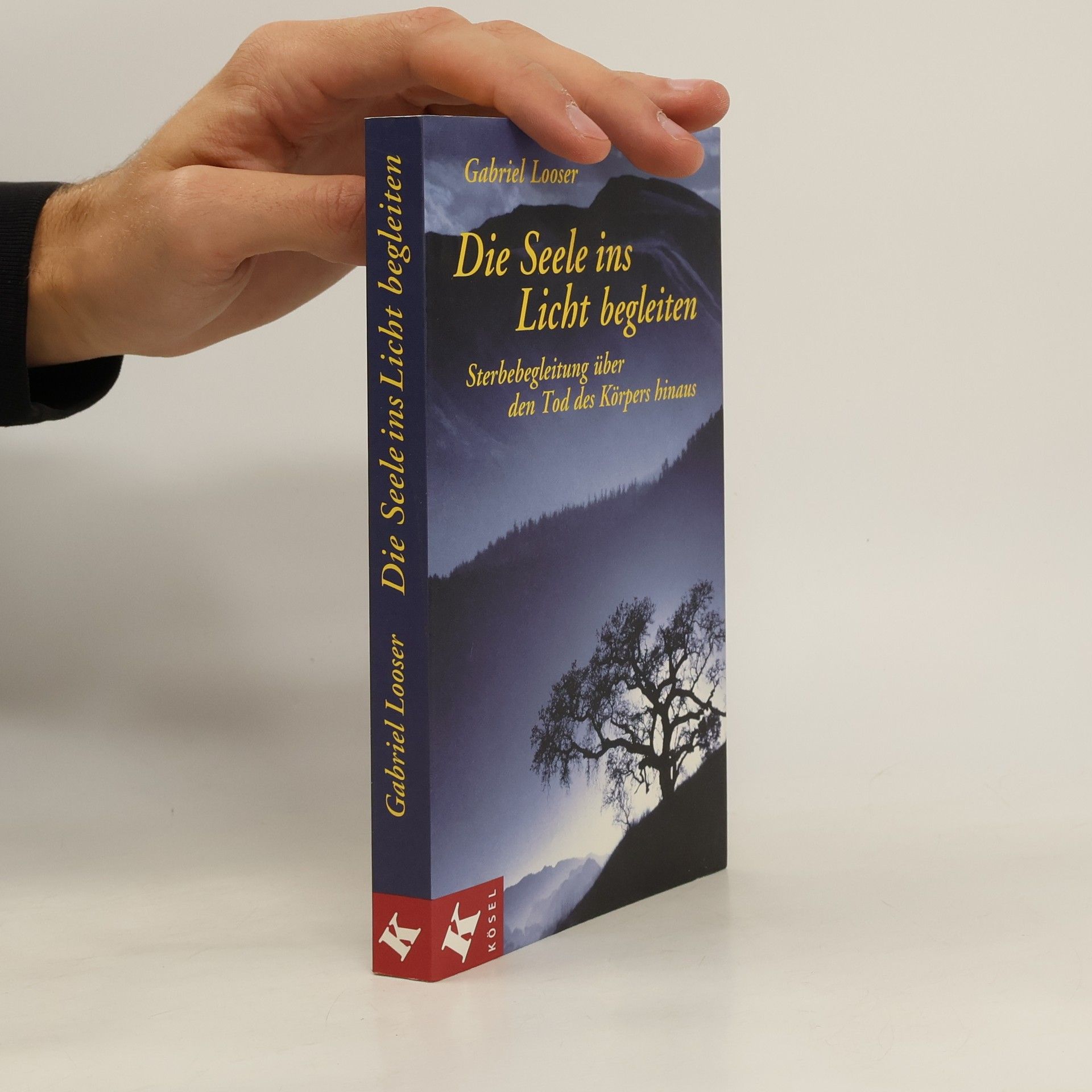 Die Seele ins Licht begleiten