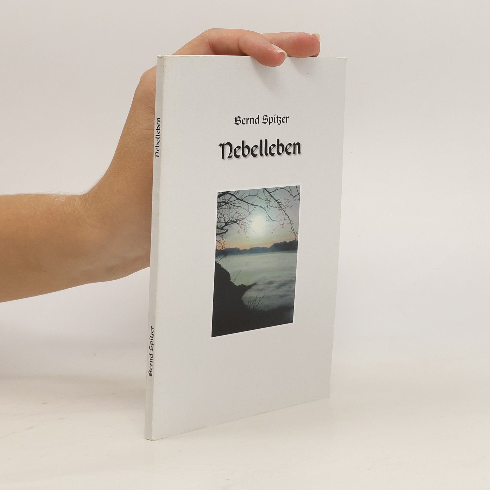 Bernd Spitzer Nebelleben