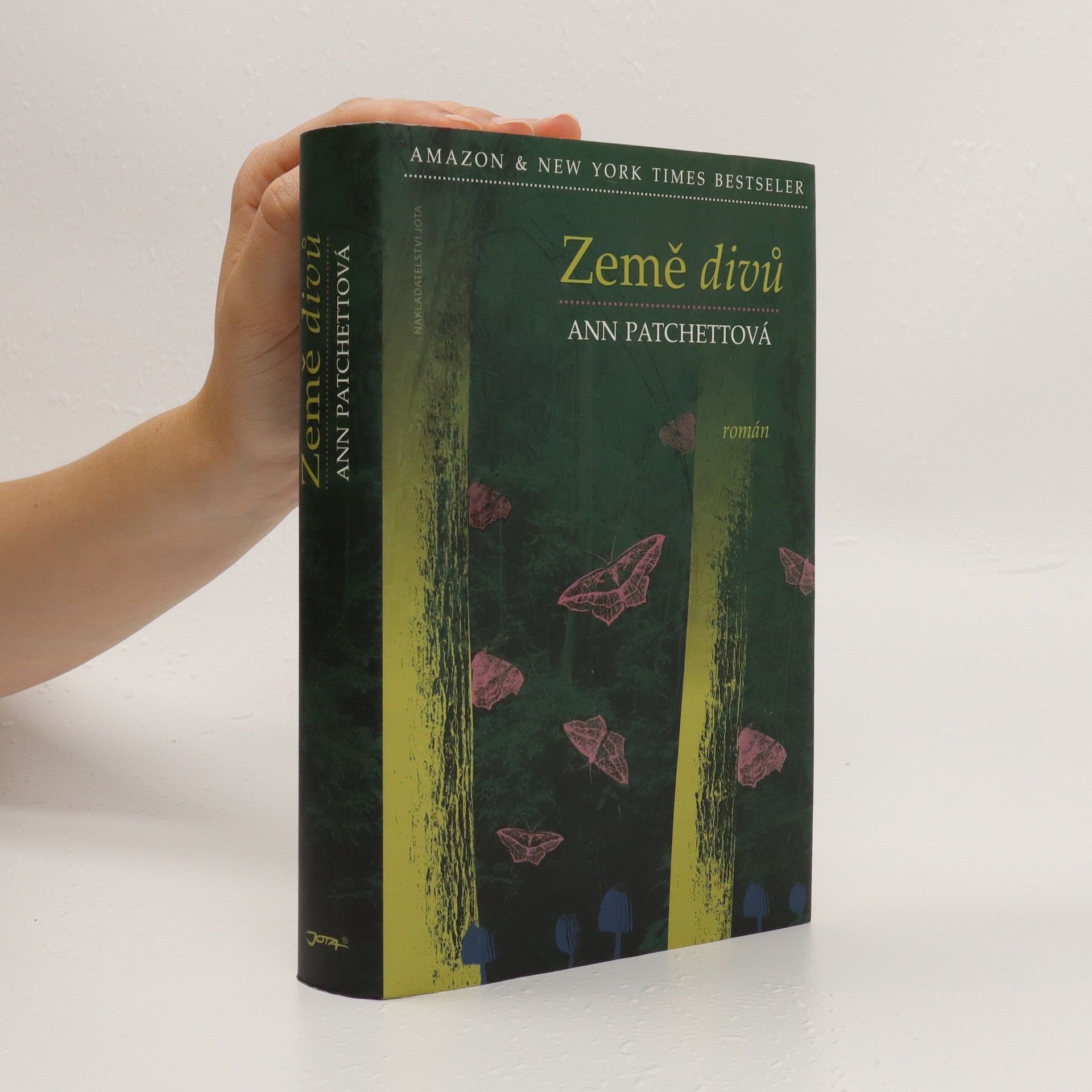 Ann Patchett Země divů