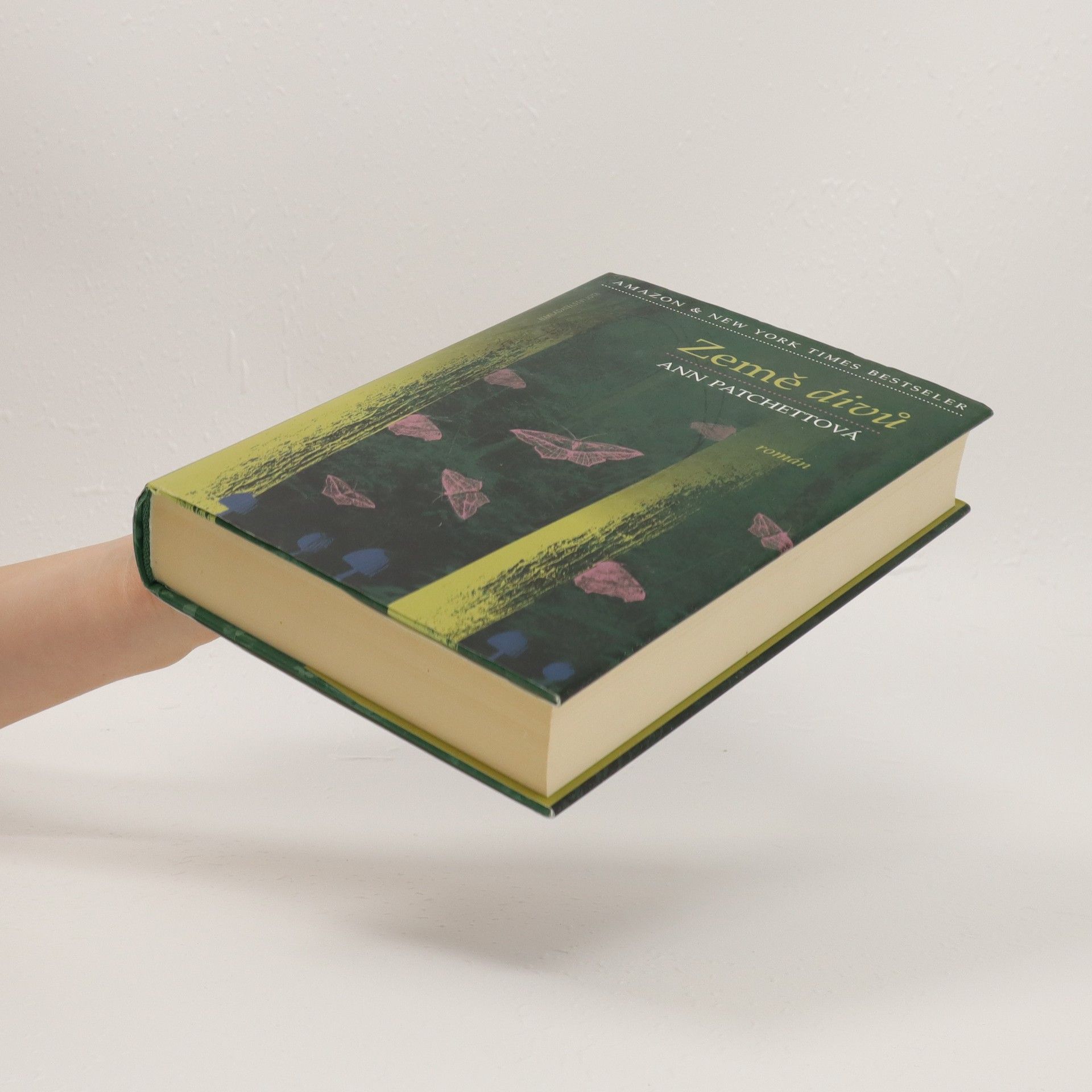 Ann Patchett Země divů