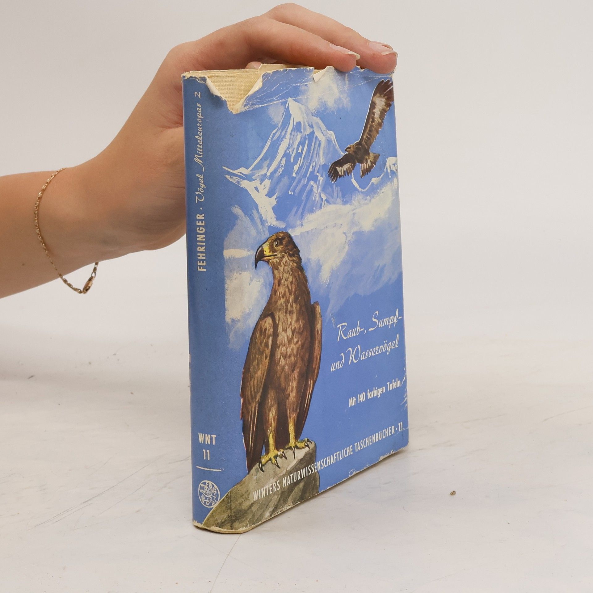 Collectif d'auteurs Vögel Mitteleuropas 2