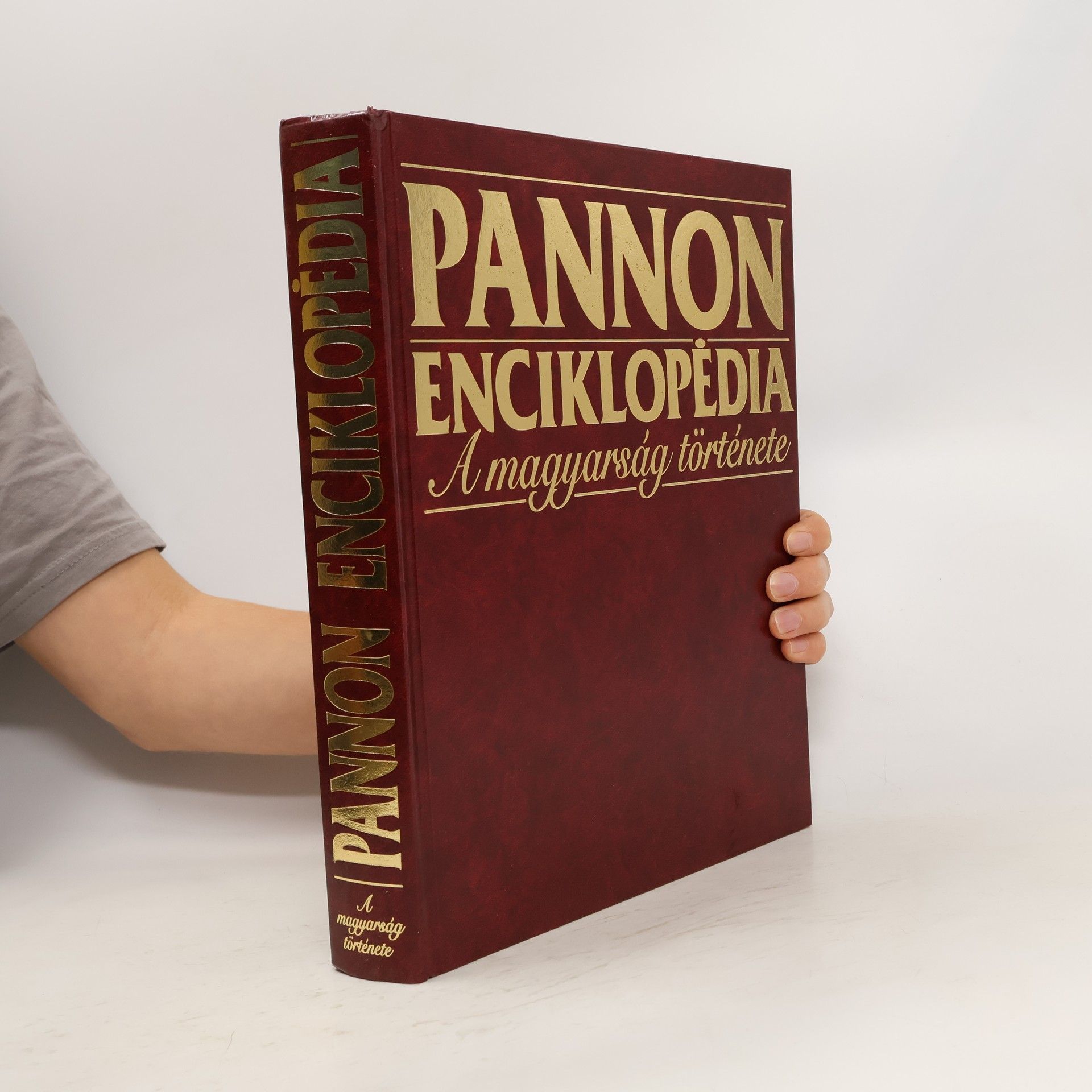 AA.VV. Pannon enciklopédia. A magyarság története