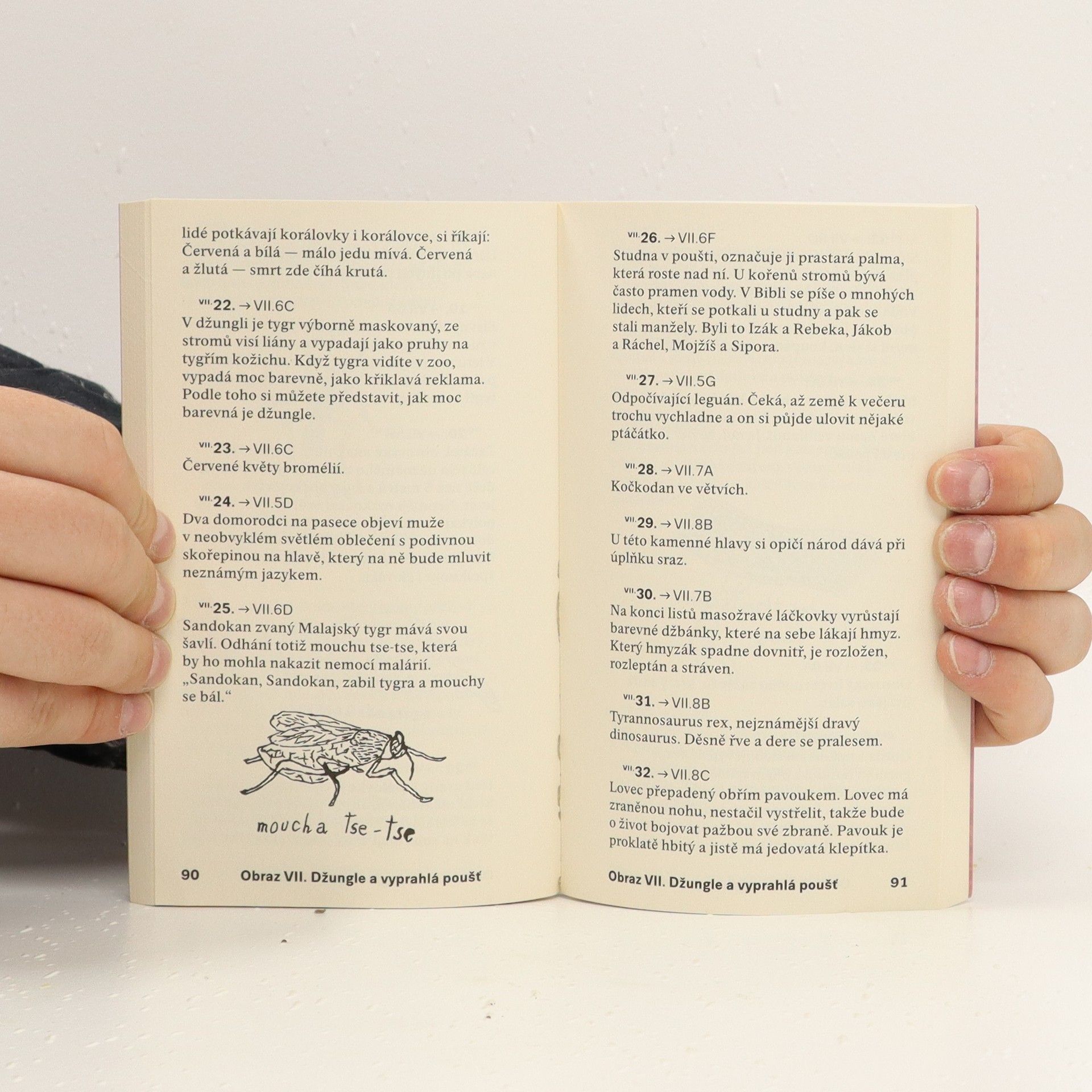 Tereza Říčanová Průvodce obrazy světa (kompletní set 14 map)