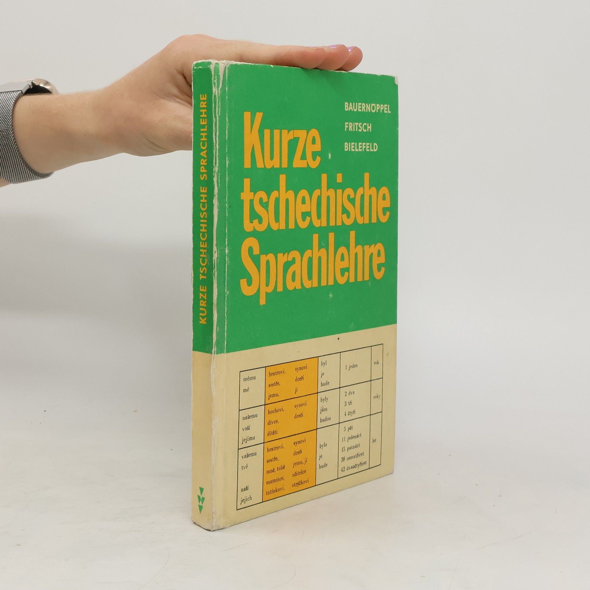 Collectif d'auteurs Kurze tschechische Sprachlehre