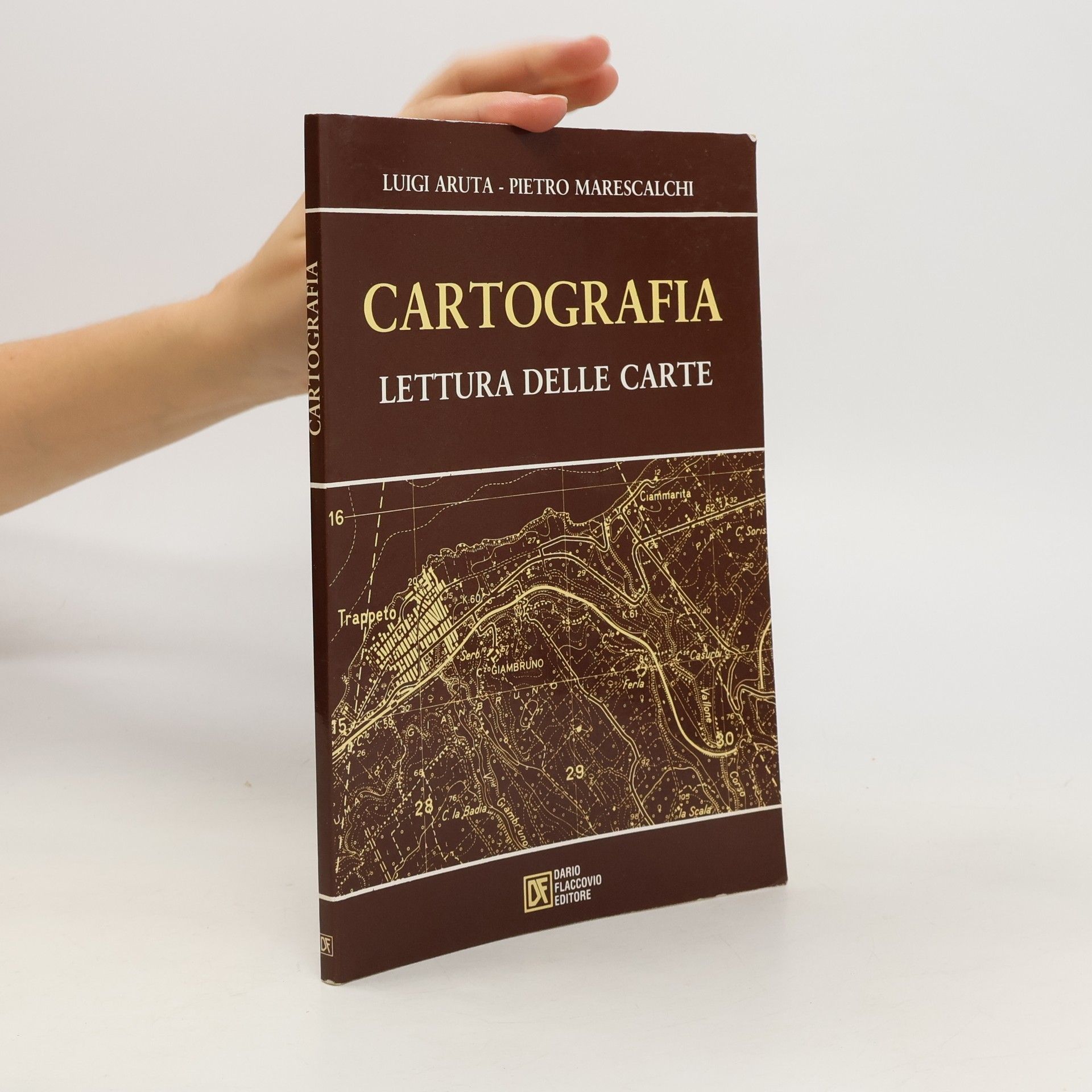 Luigi Aruta Cartografia. La lettura delle carte