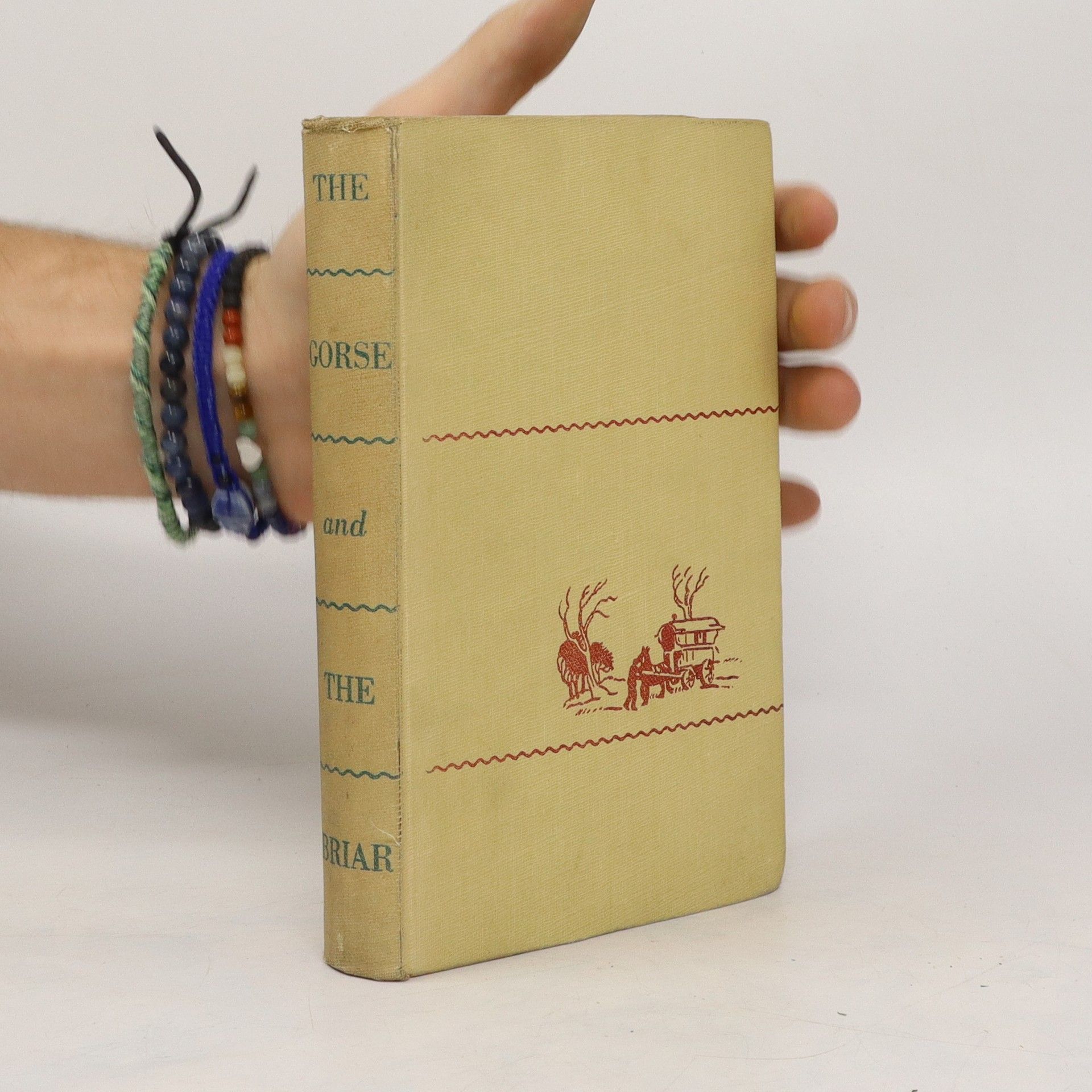 Patrick A. McEvoy The Gorse and the Briar