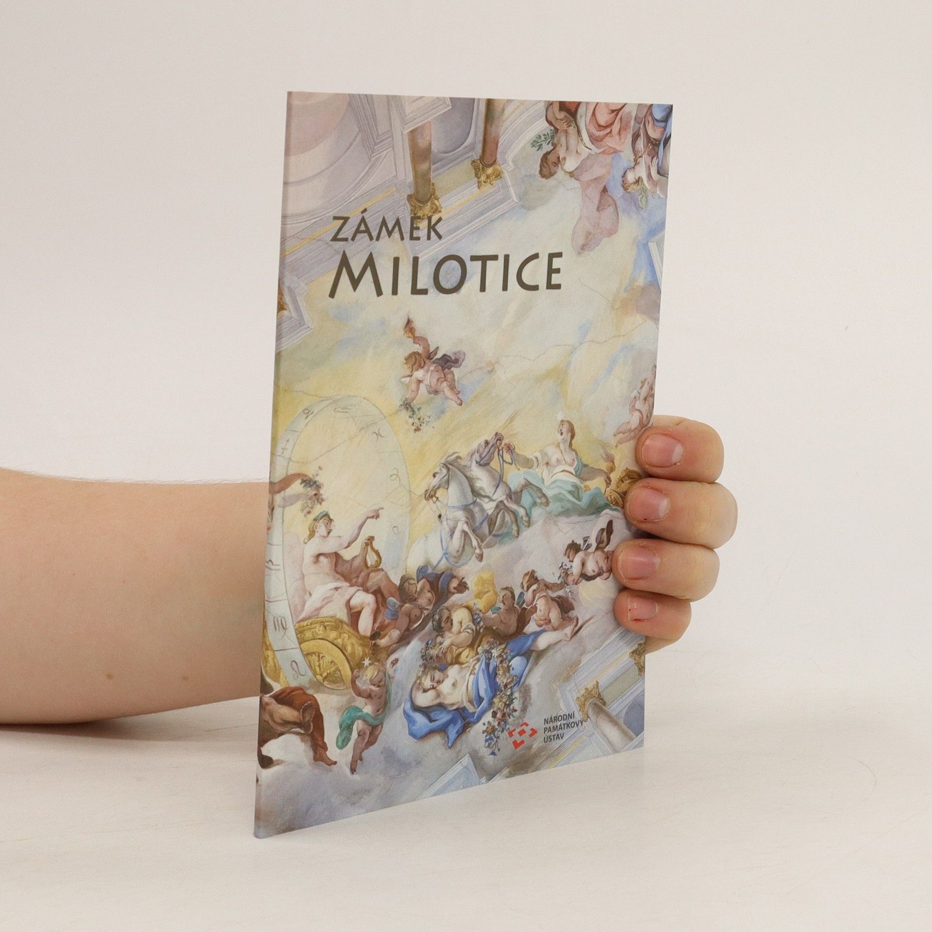 Václav Lunga Zámek Milotice