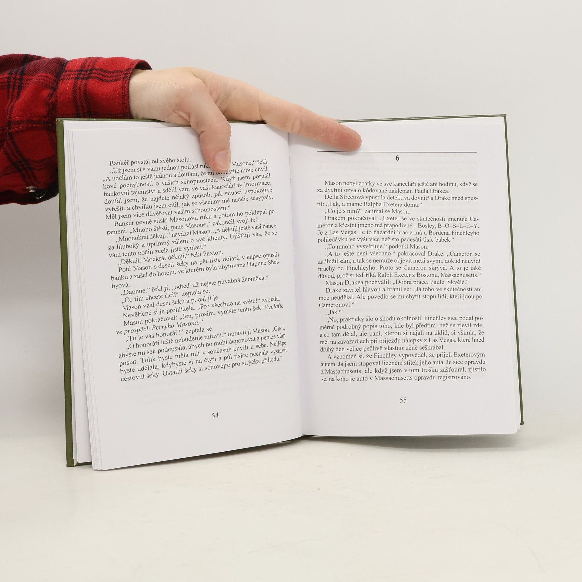 Erle Stanley Gardner Případ půvabné žebračky