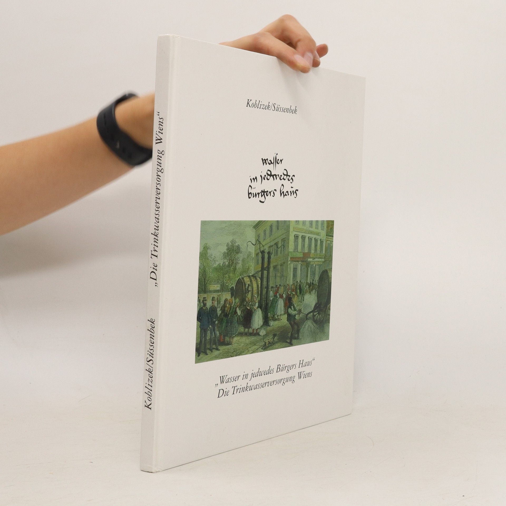 Ruth Koblizek "Wasser in jedwedes Bürgers Haus"