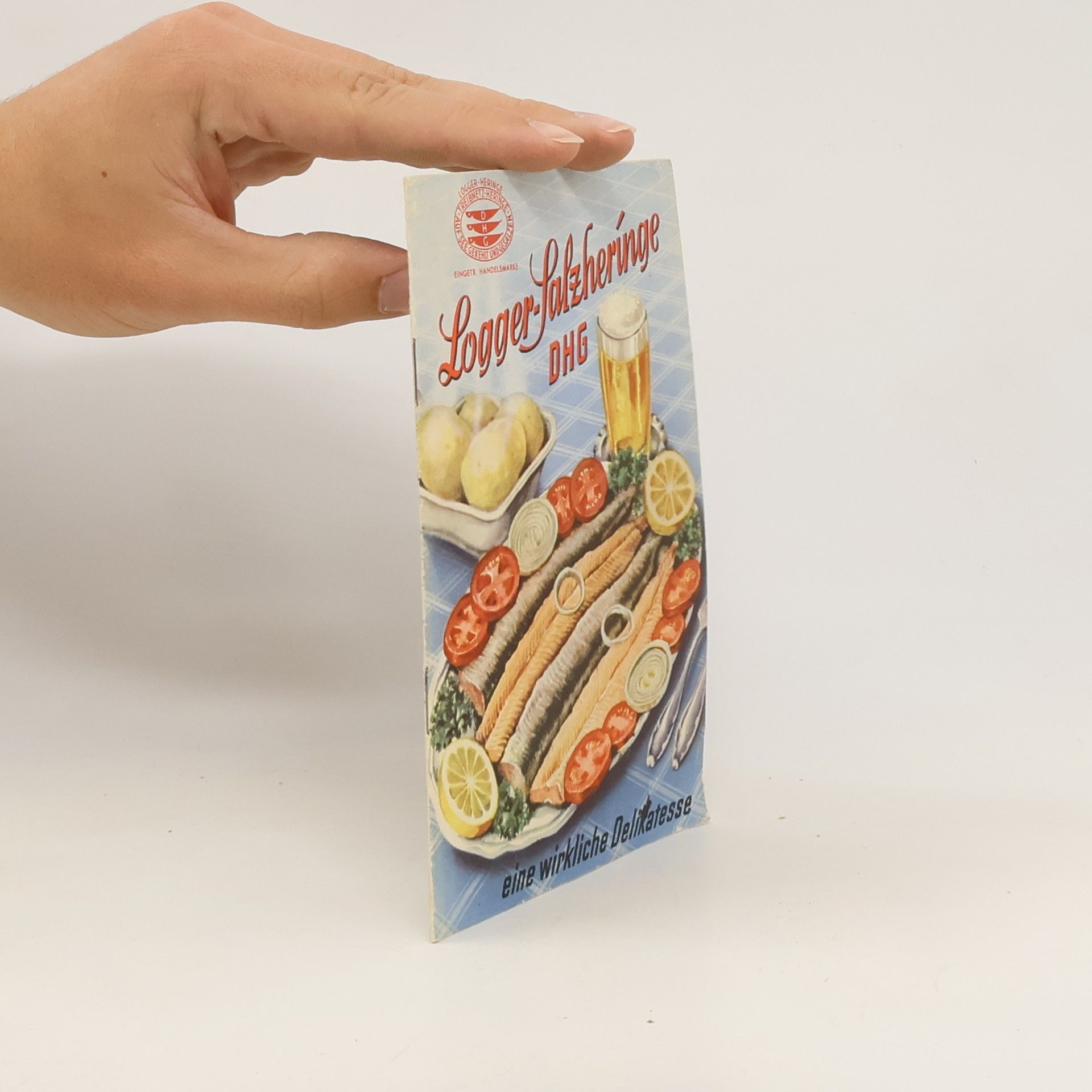 Collectif d'auteurs Logger-Salzheringe