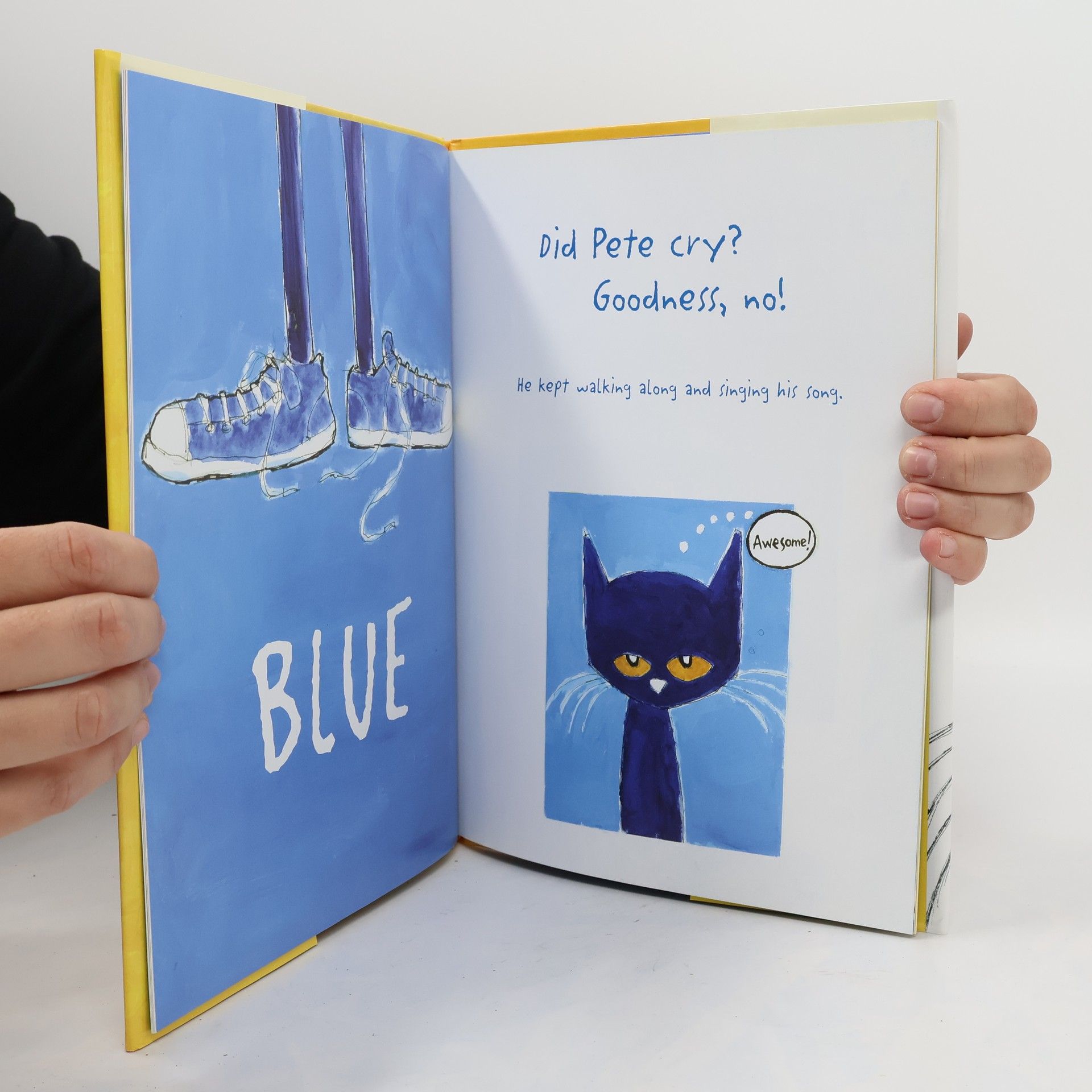 Eric Litwin Pete the Cat: I Love My White Shoes