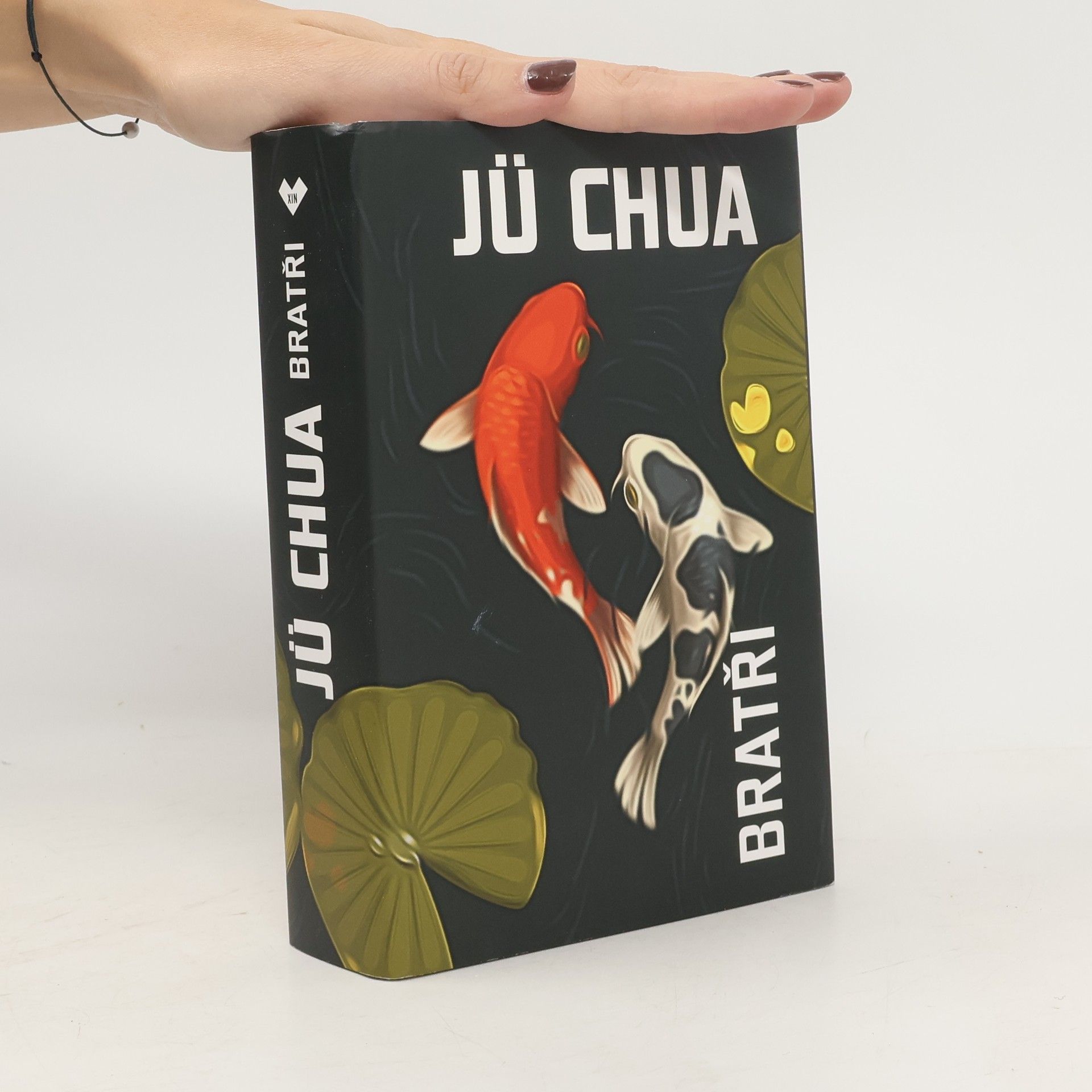 Jü Chua Bratři