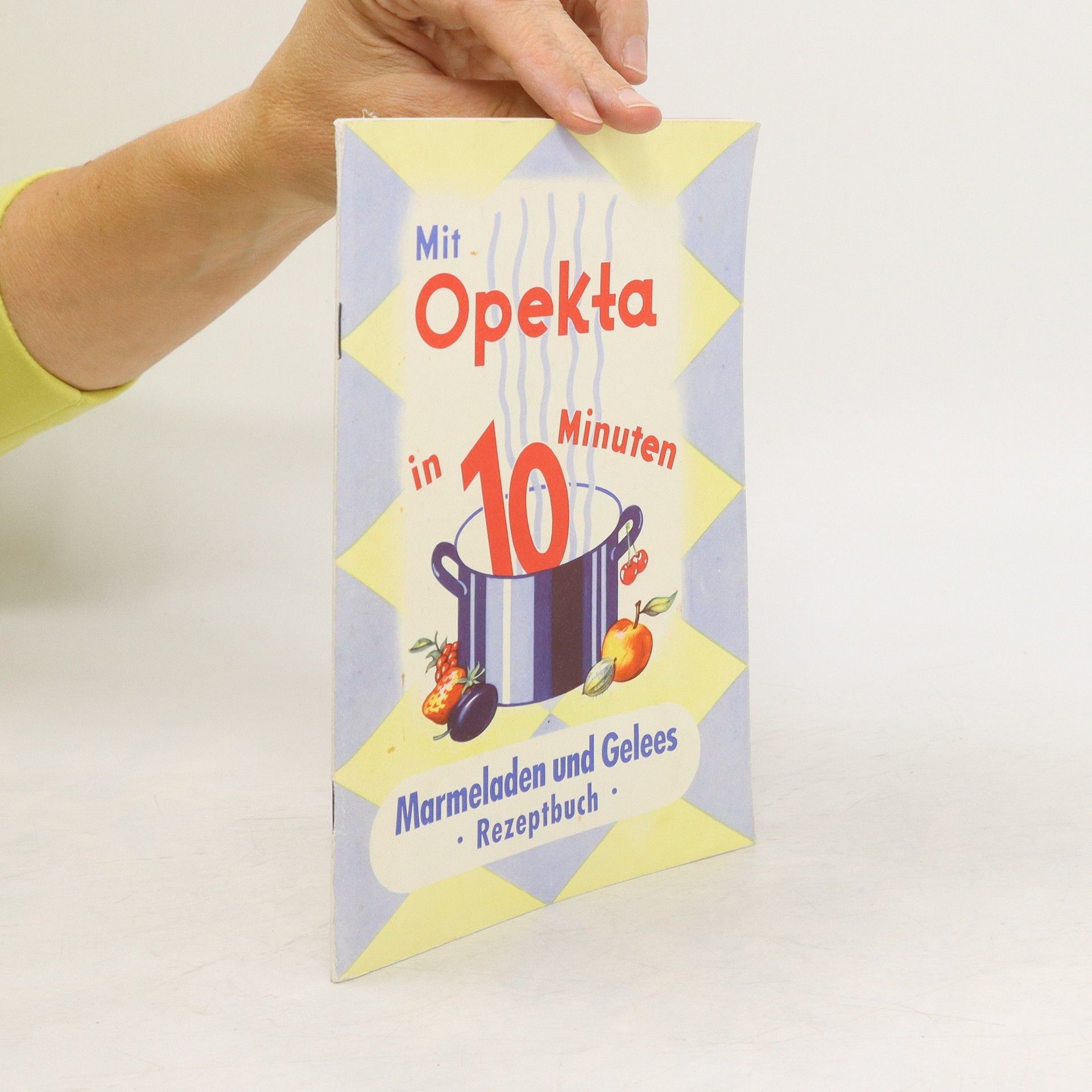 Collectif d'auteurs Mit Opekta in 10 Minuten