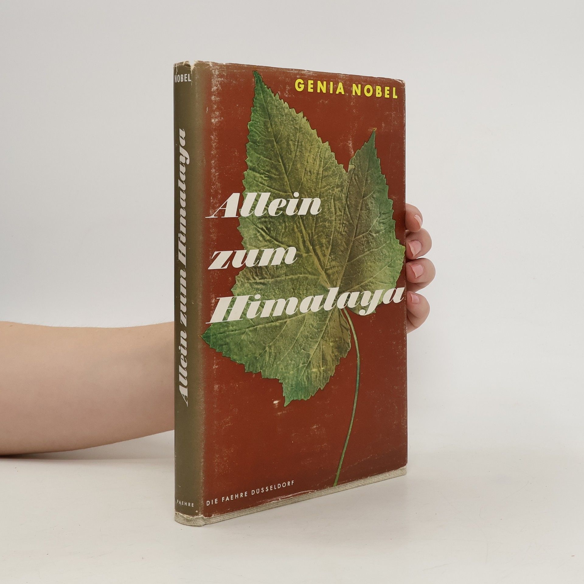Genia Nobel Allein zum Himalaya
