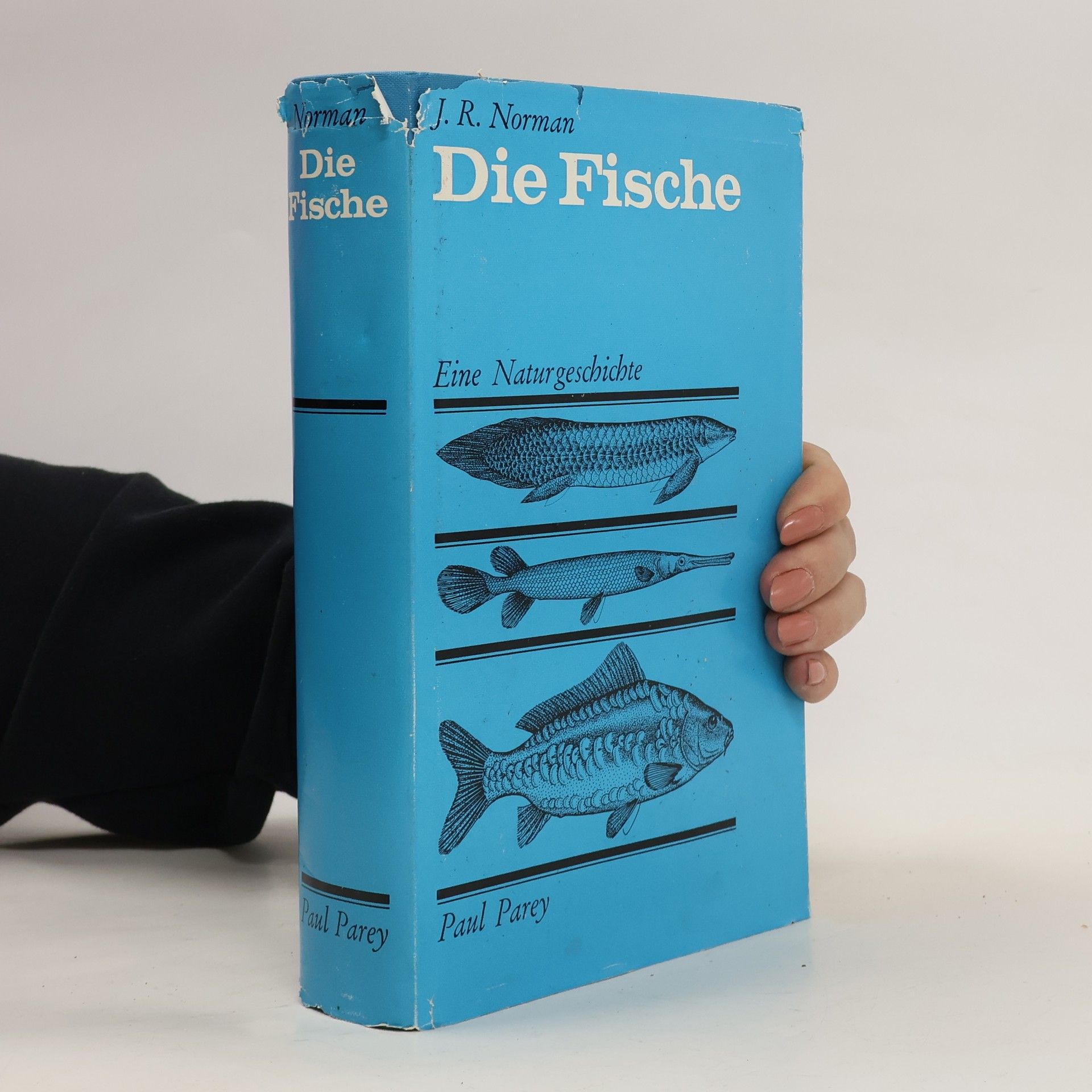J. R. Norman Die Fische