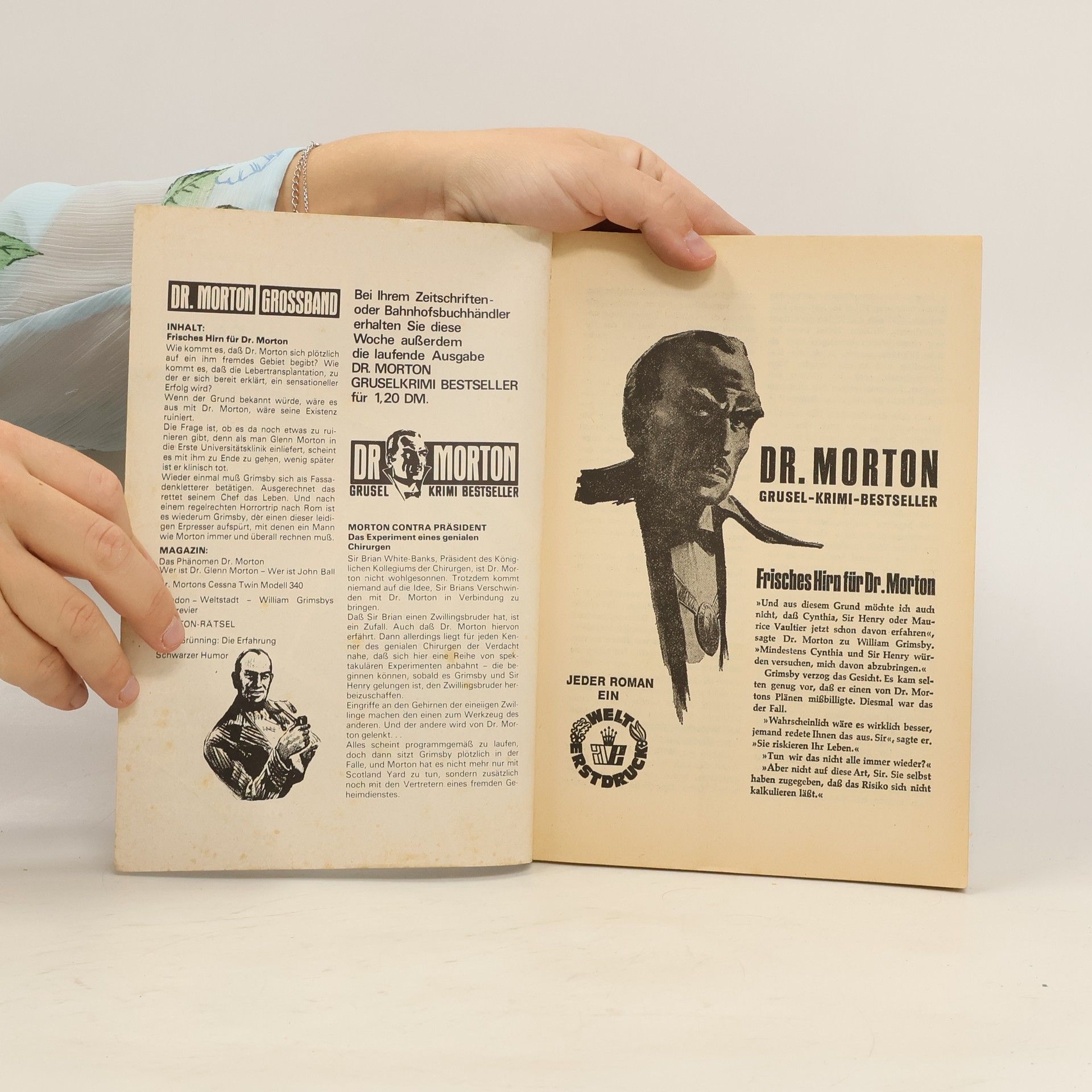 kolektiv Dr. Morton