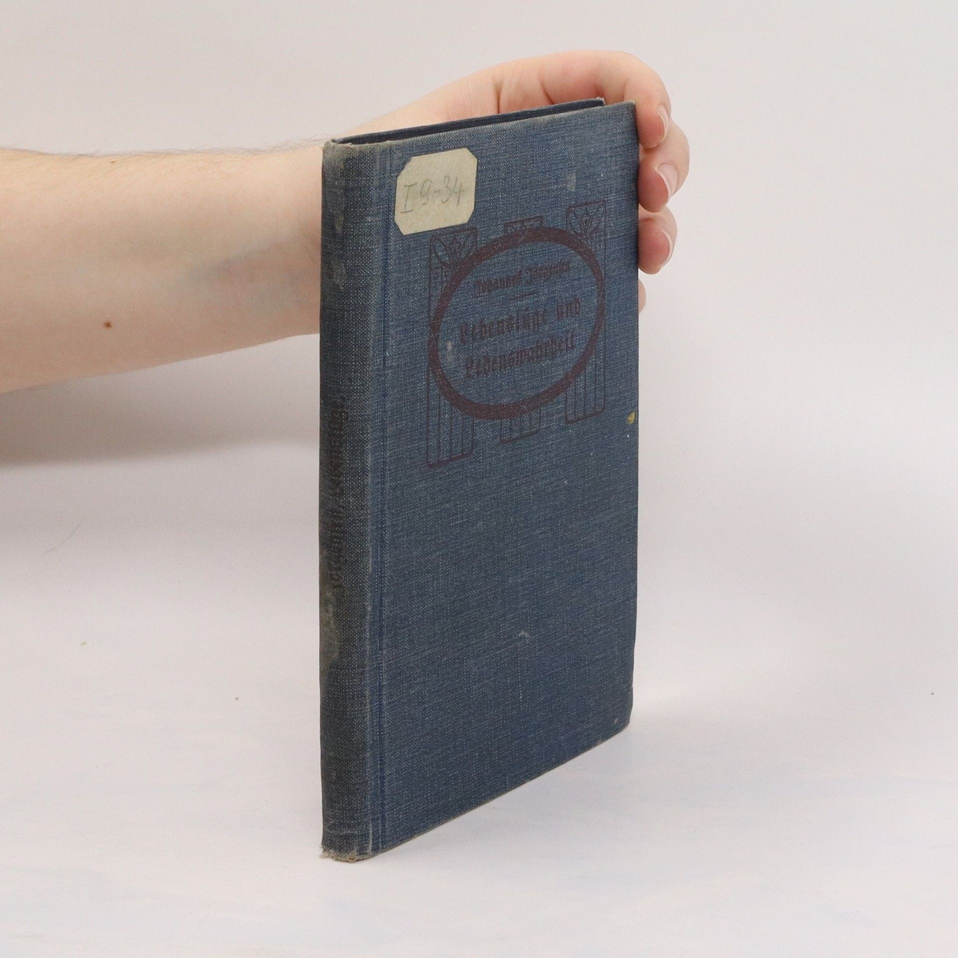 Johannes Joergensen Lebenslüge und Lebenswahrheit