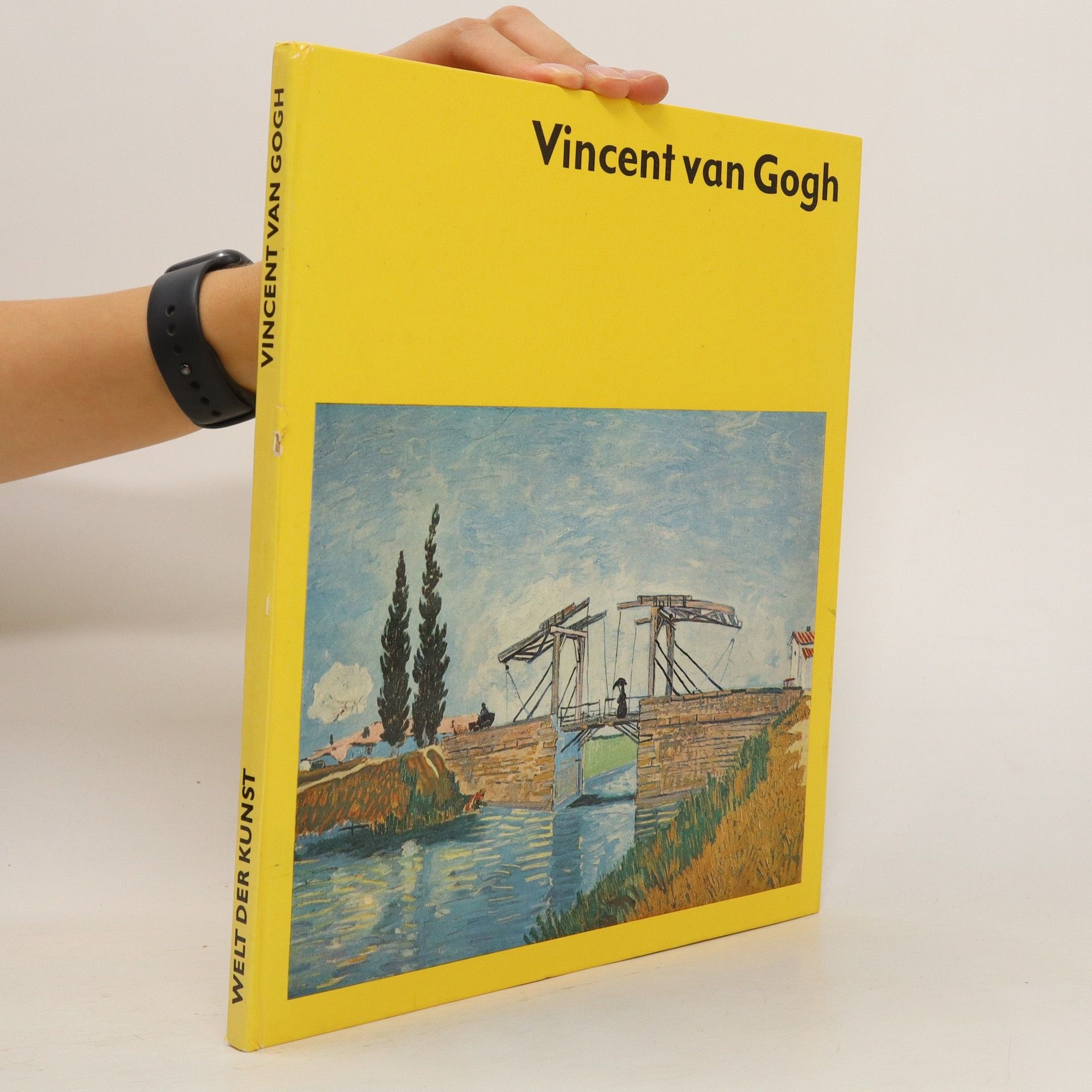 Autorenkollektiv Vincent van Gogh