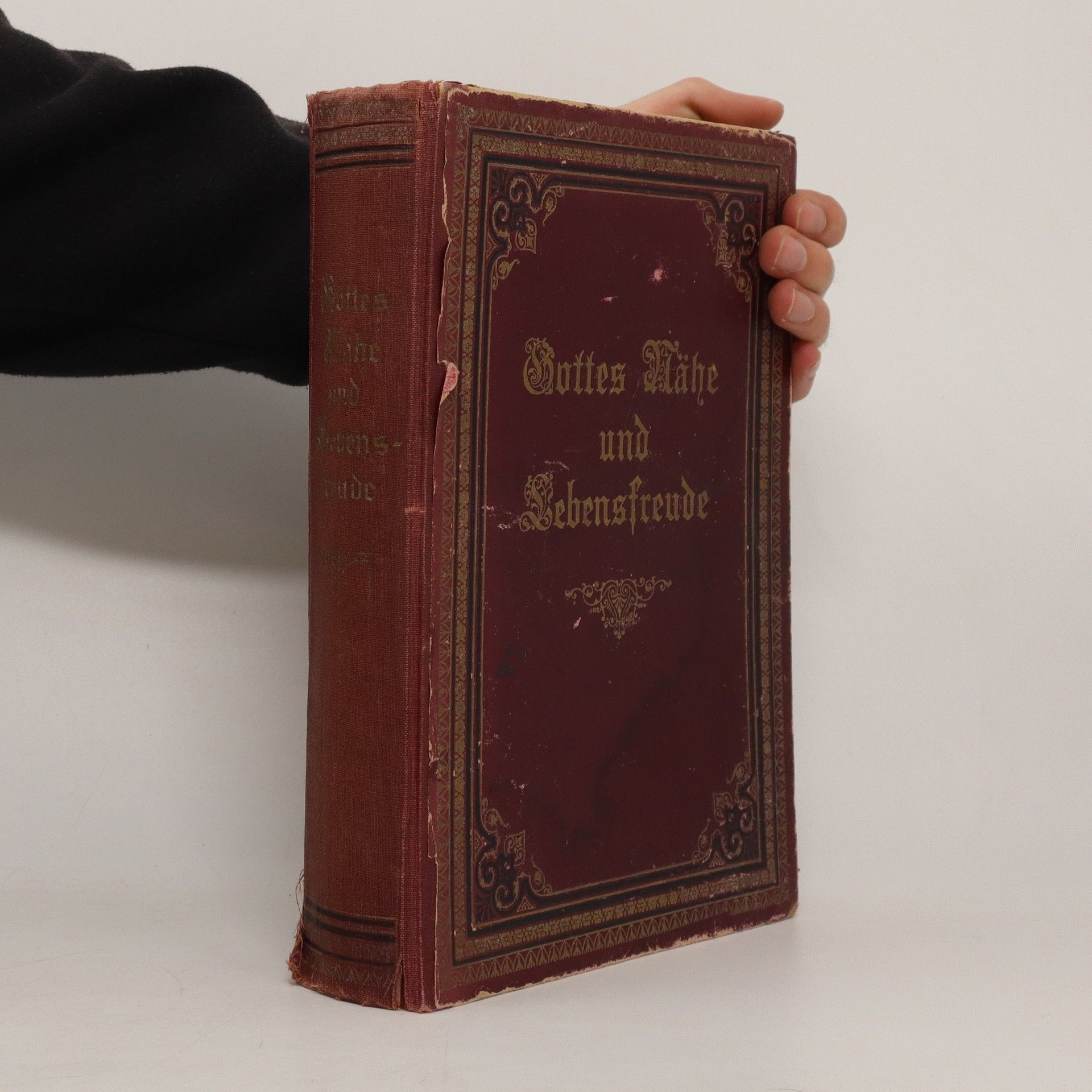 Anton Steeger Gottes Nähe und Lebensfreude