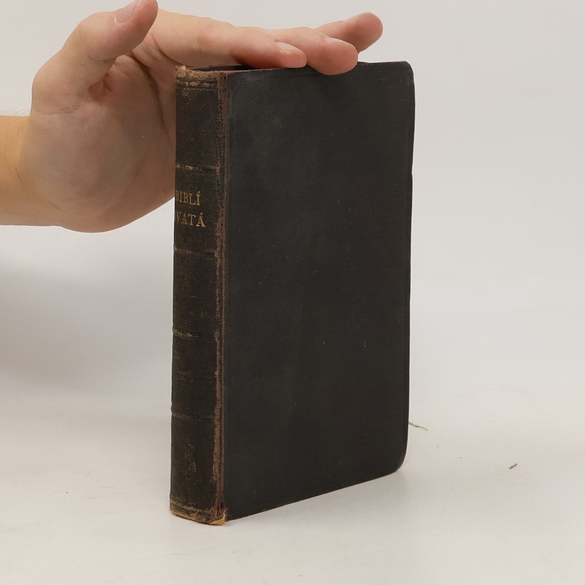 Kolektiv autorů Biblí svatá aneb Všecká svatá písma Starého i Nového zákona
