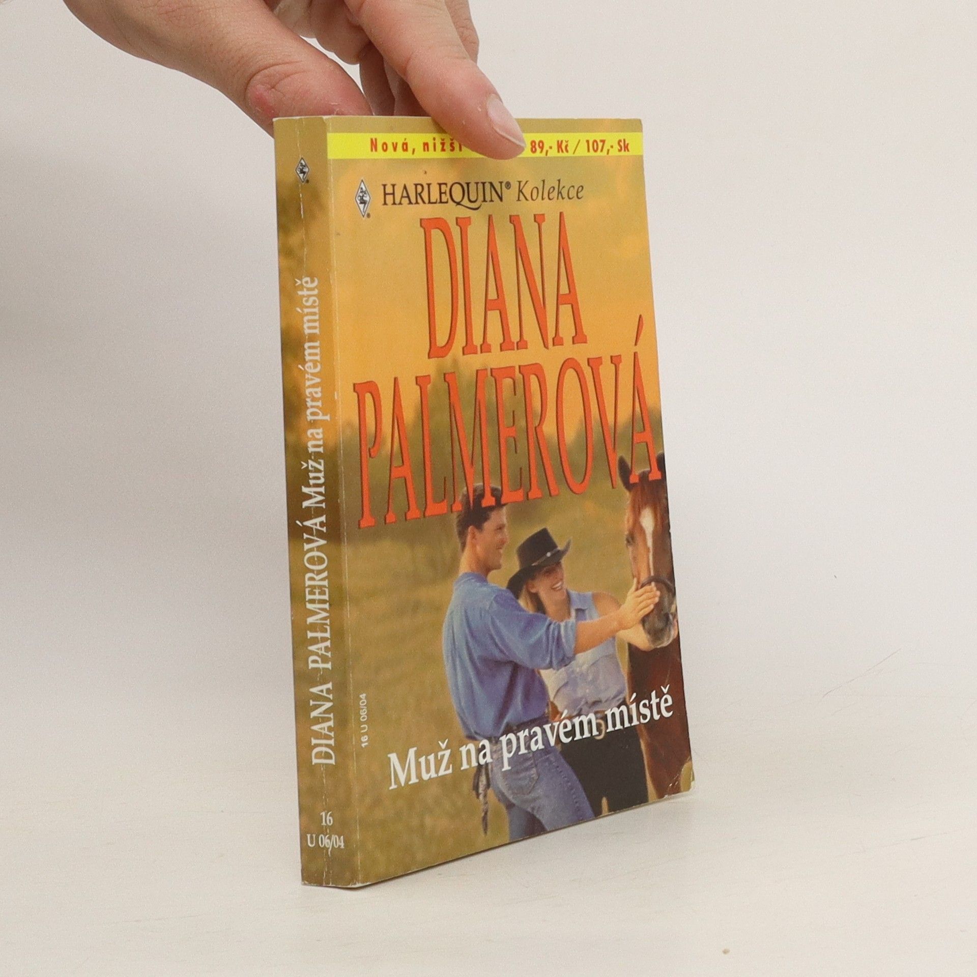 Diana Palmer Muž na pravém místě