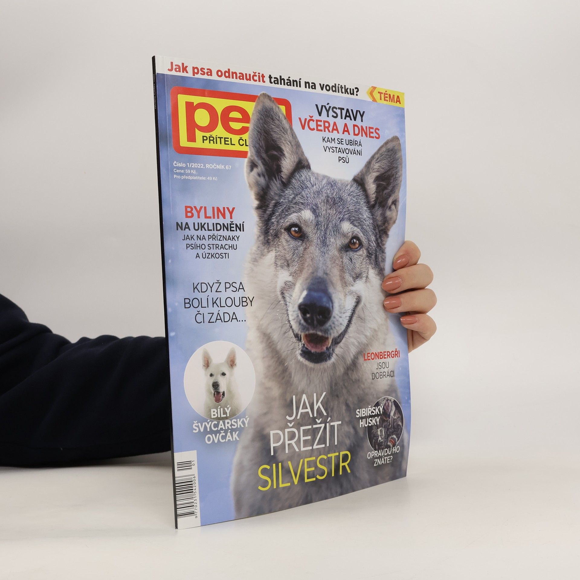 Auteurscollectief Pes přítel člověka 1/2022