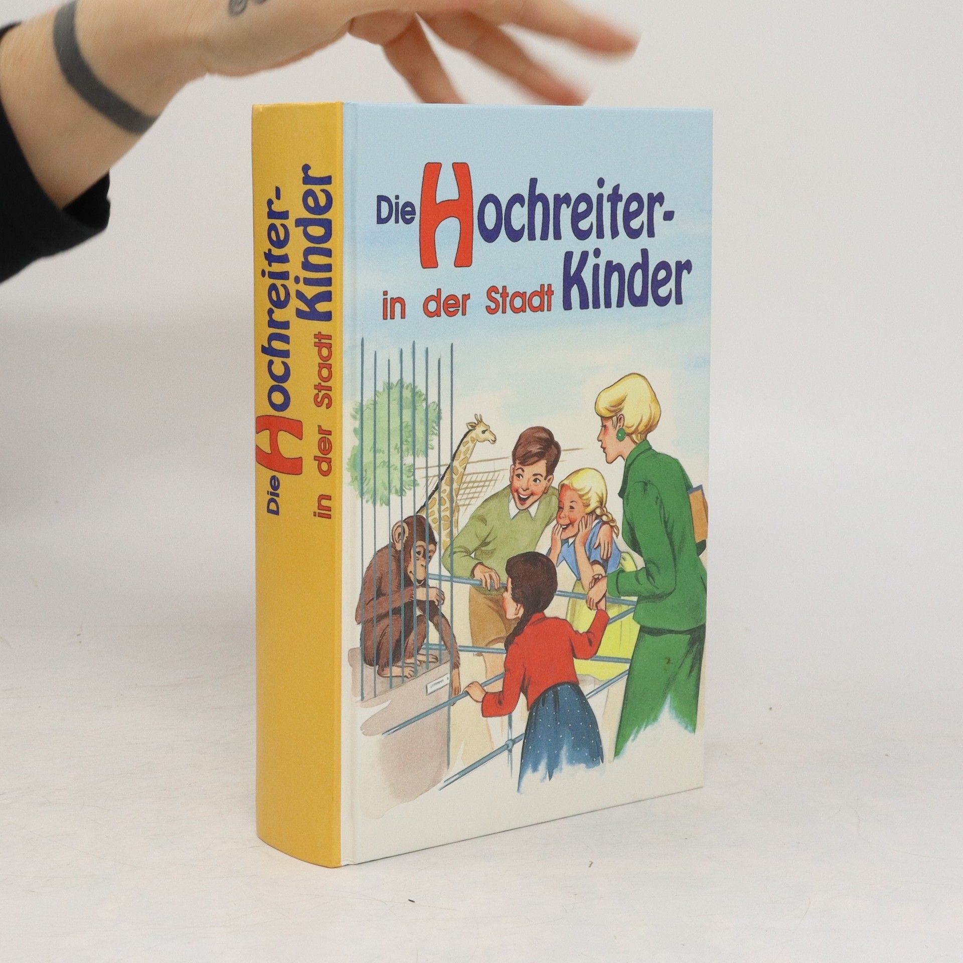 Autorenkollektiv Die Hochreiterkinder in der Stadt