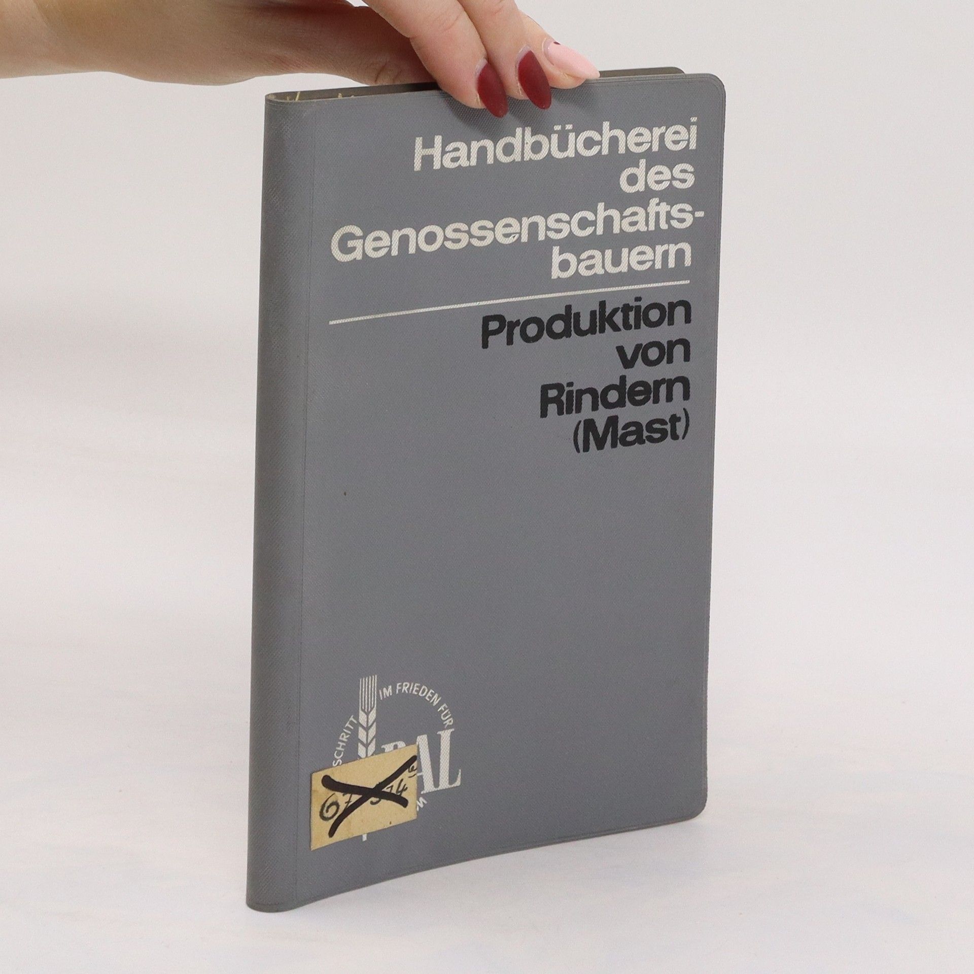 Autorenkollektiv Produktion von Rindern (Mast)