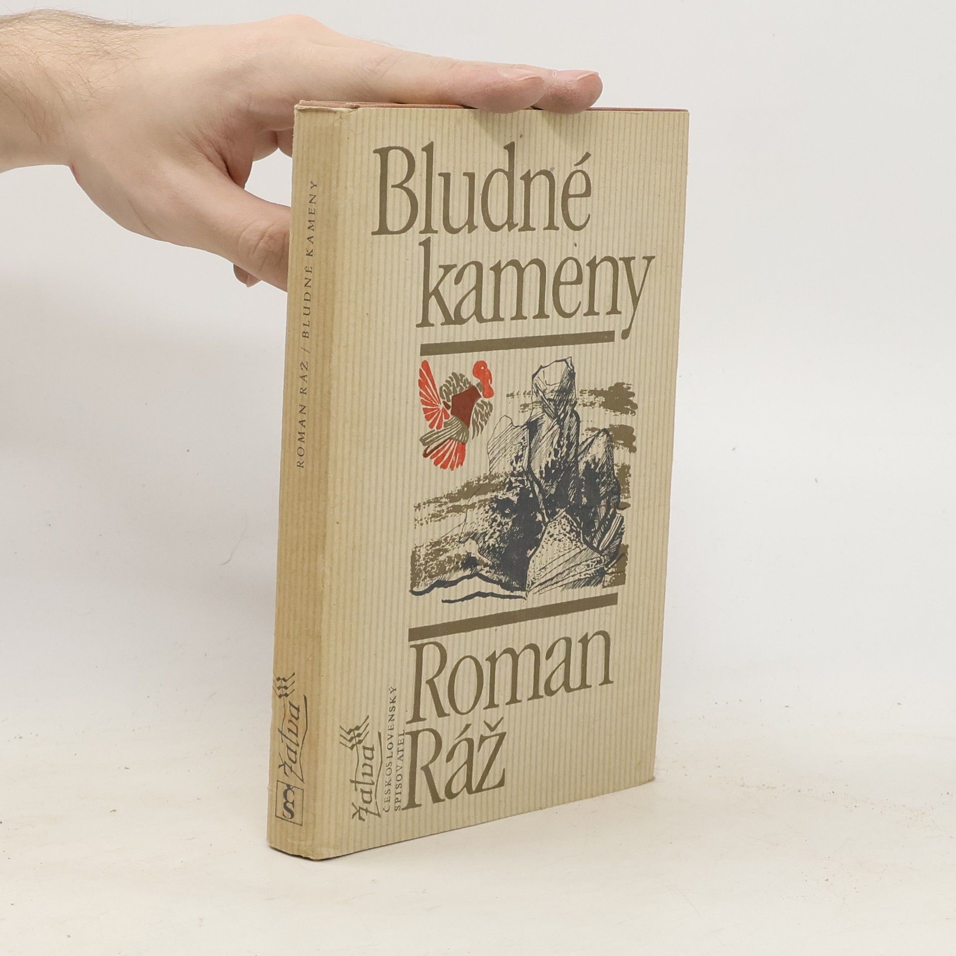 Roman Ráž Bludné kameny