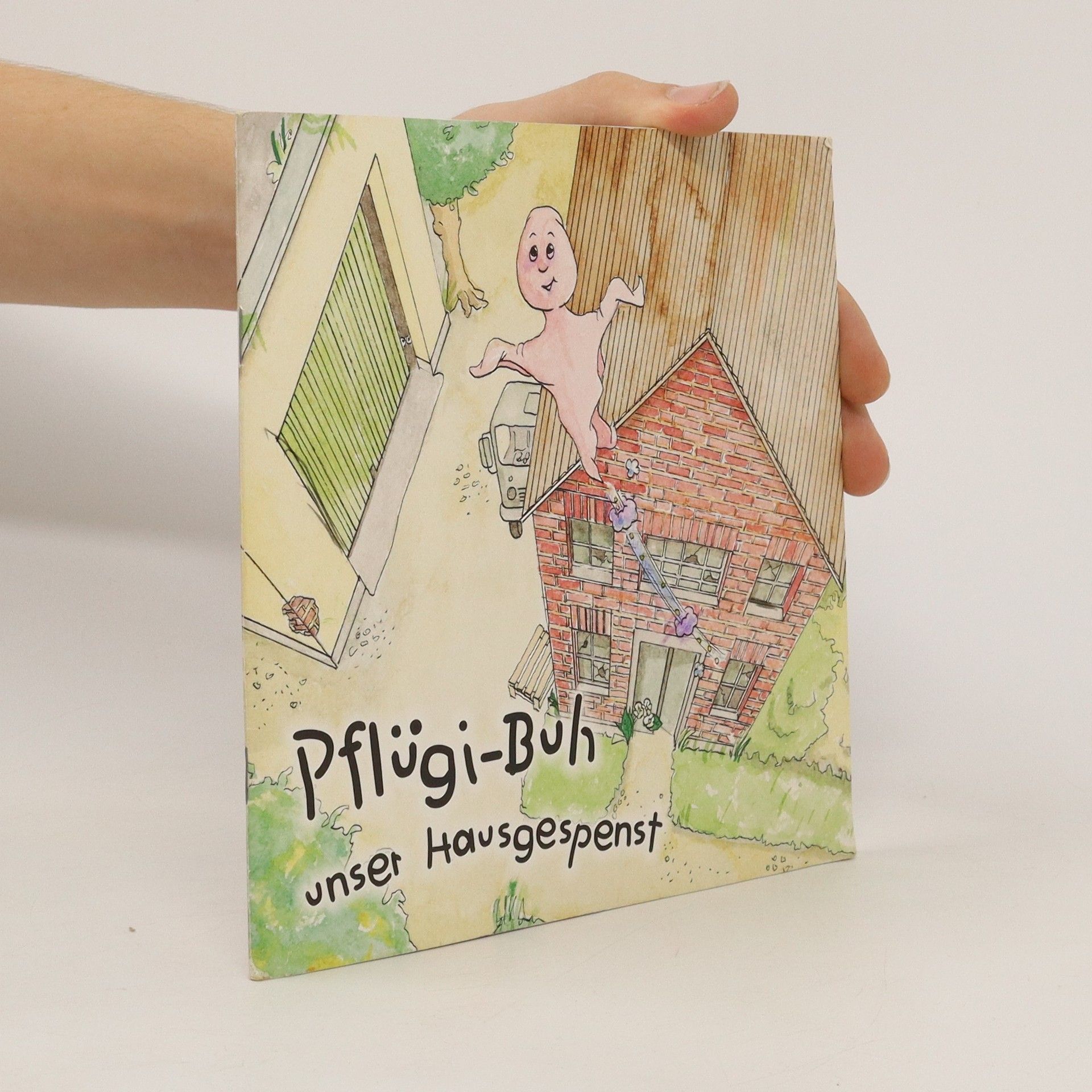 Sabine Otten Pflügi-Buh