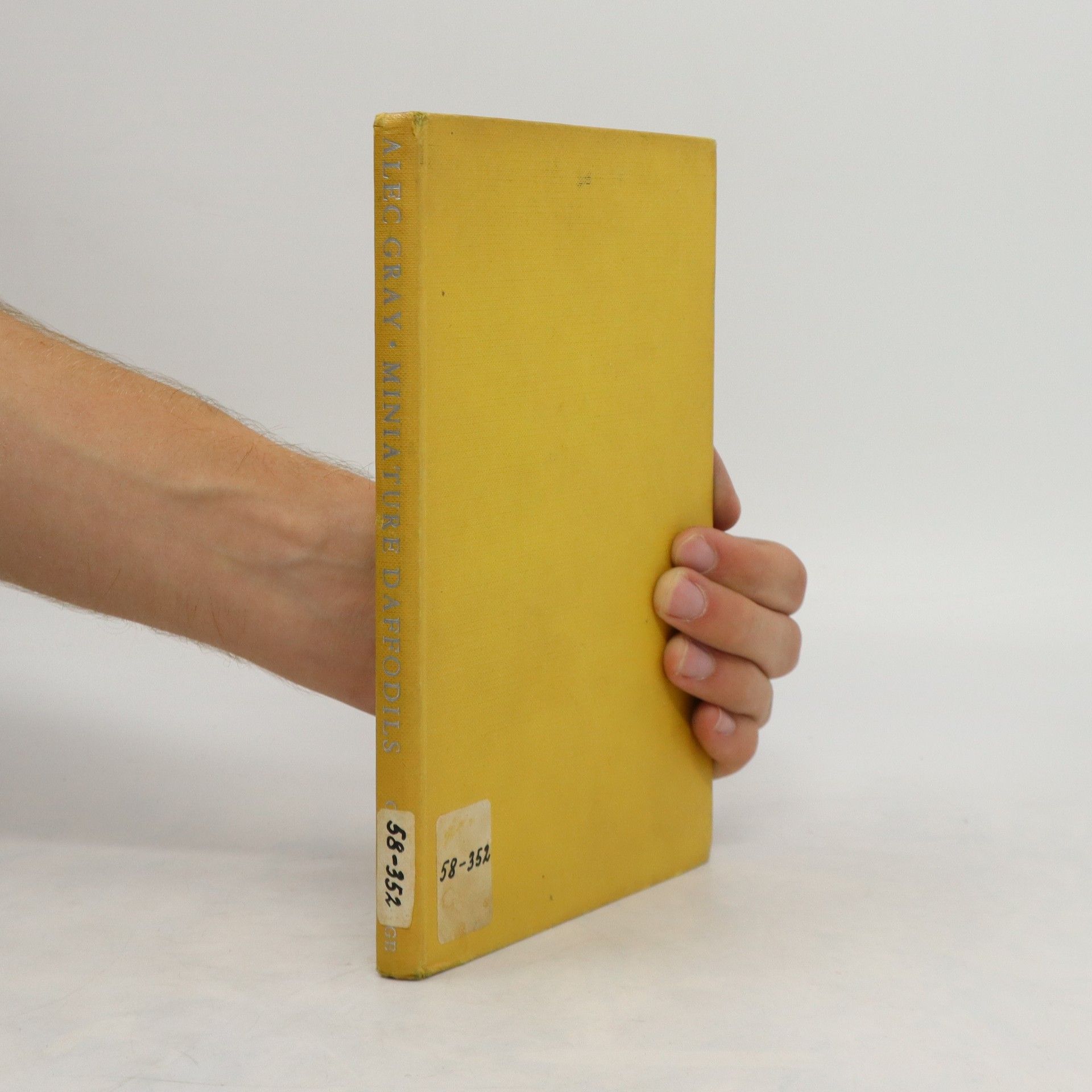 Alec Gray Miniature Daffodils