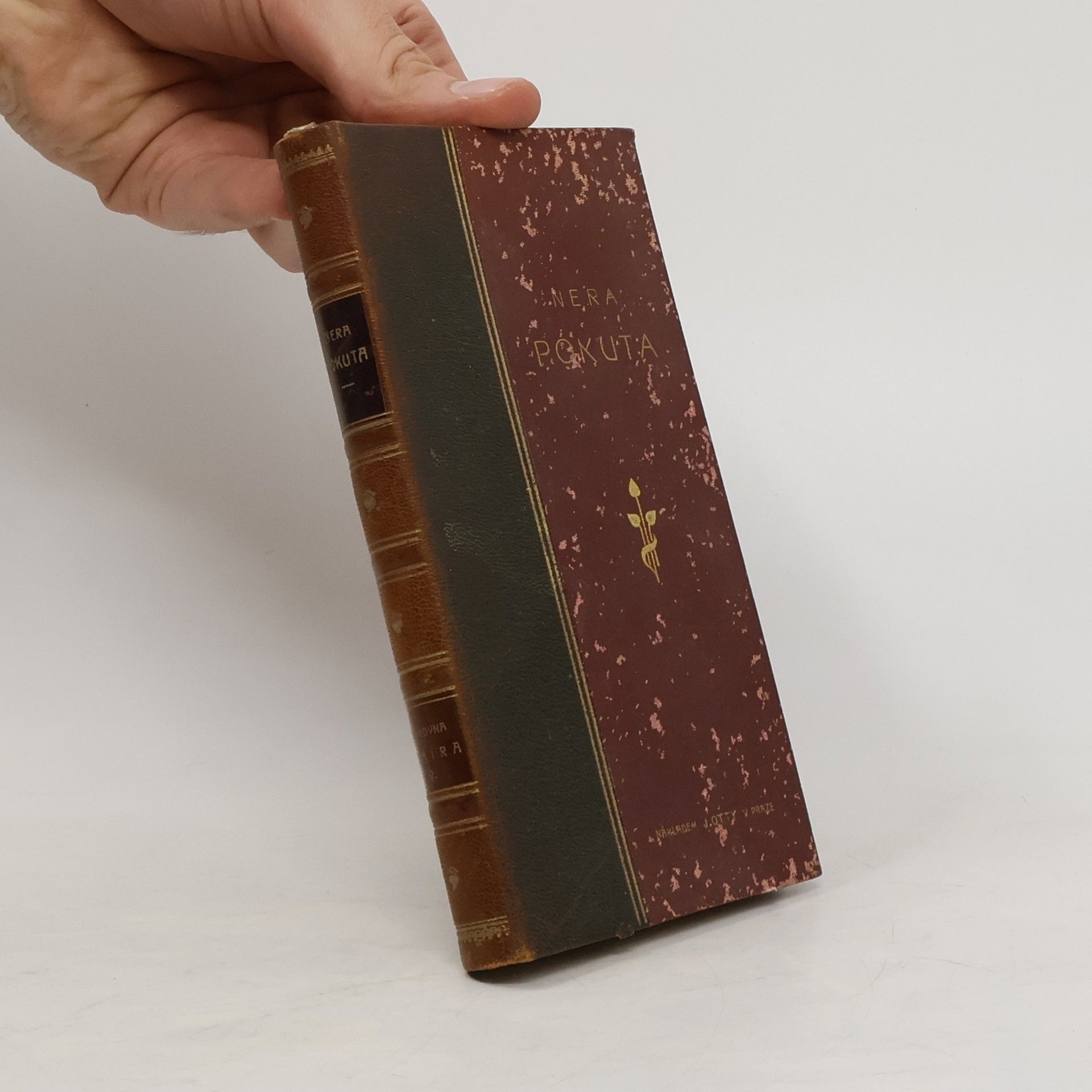 Neera Anna Radius Zuccari Nera Pokuta