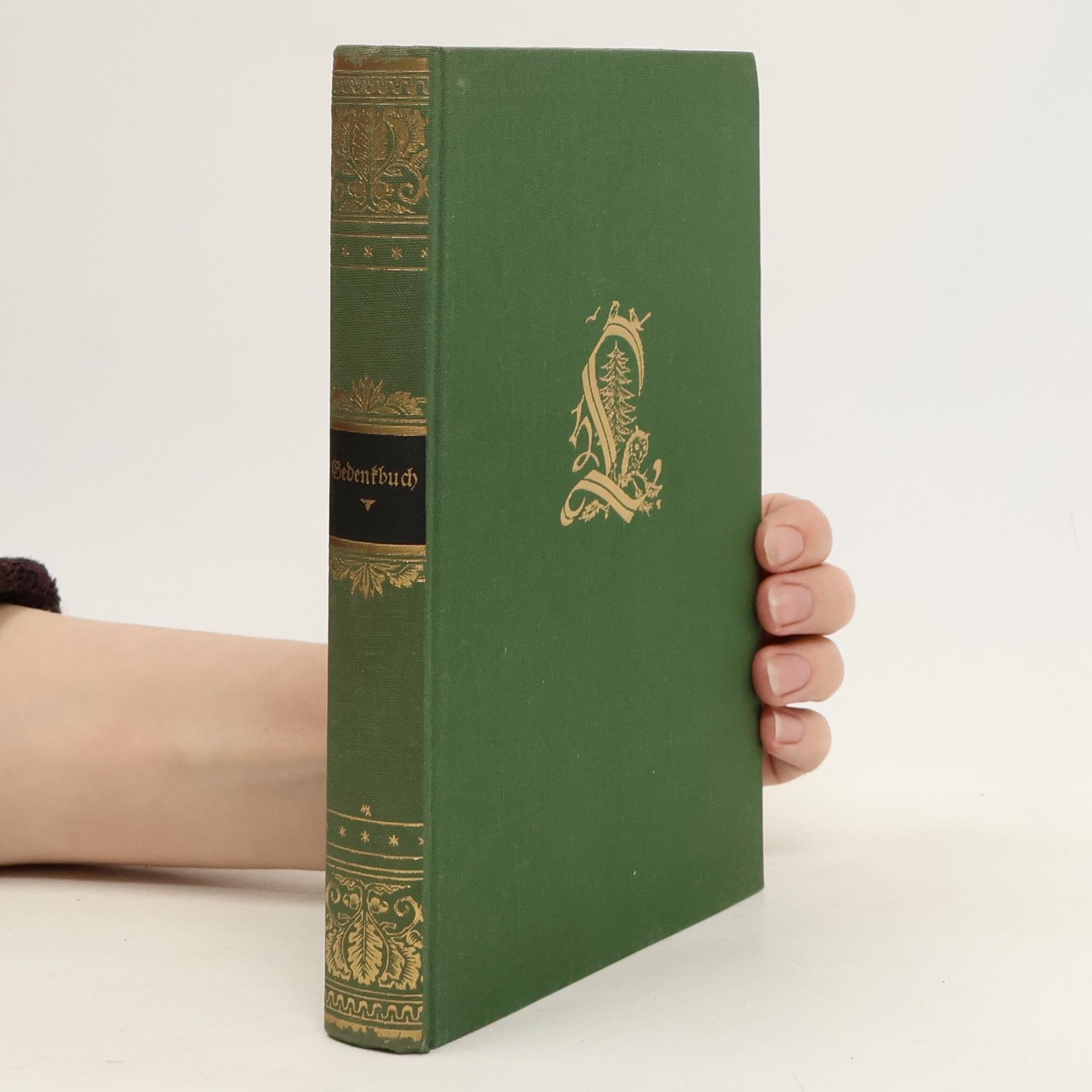 Friedrich Castelle   Hermann Löns Gedenkbuch