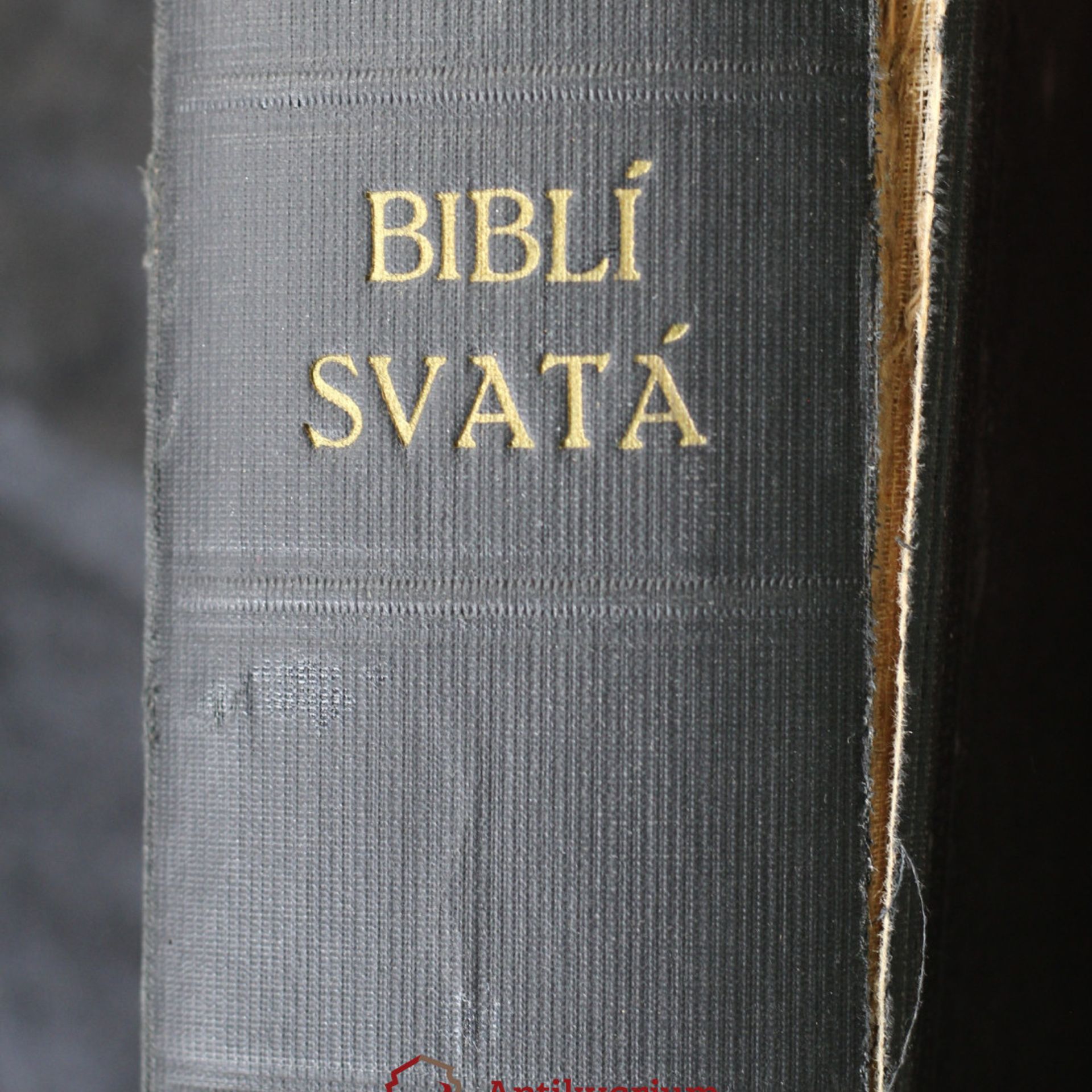 Autorenkollektiv Biblí svatá, aneb, Všecka svatá písma Starého i Nového zákona : podle posledního vydání kralického z roku 1613