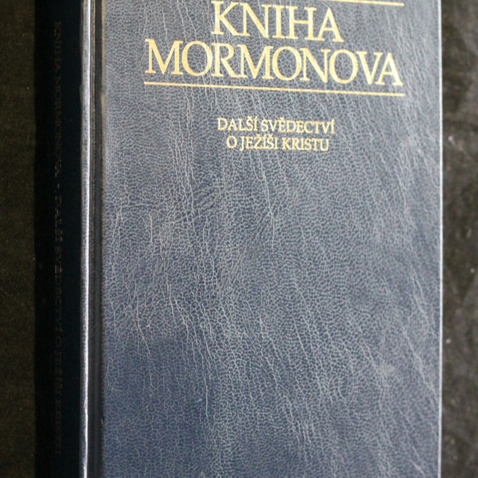 Kolektiv autorů Kniha Mormonova