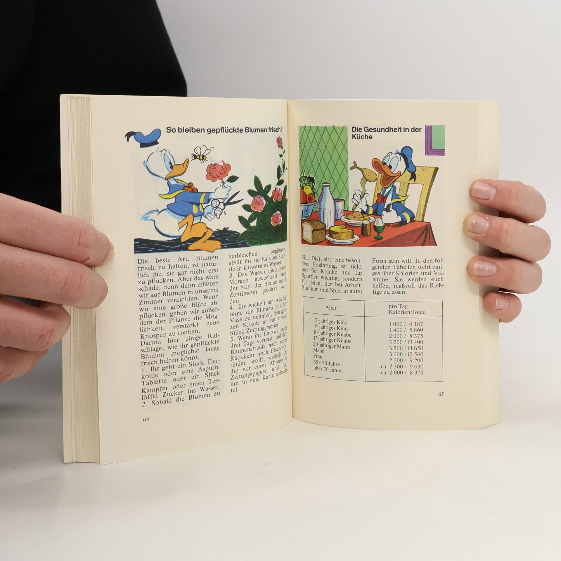 Walt Disney Donald Duck