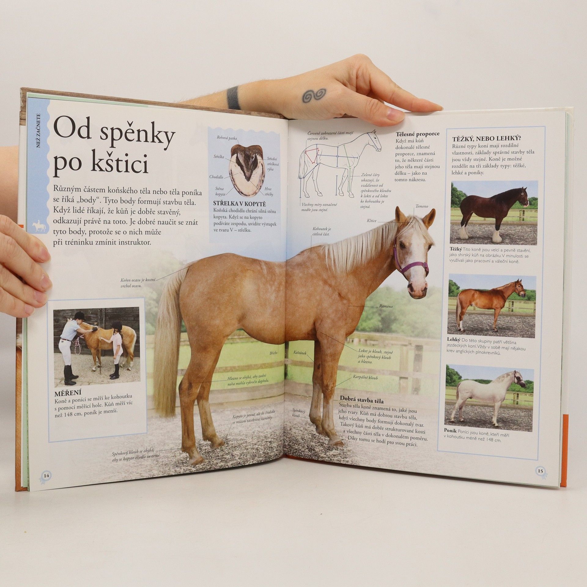 Caroline Stamps Jak na jezdectví. Průvodce jezdeckými dovednostmi krok za krokem.