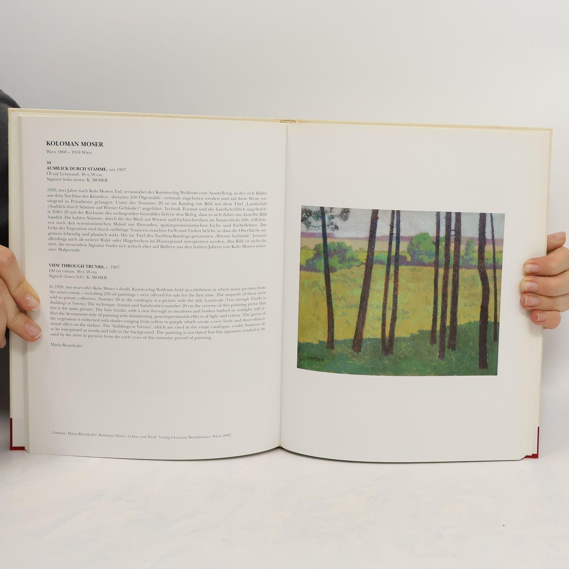 Kolektiv autorů Österreichische Meister der Klassischen Moderne VII; Austrian Modern Art