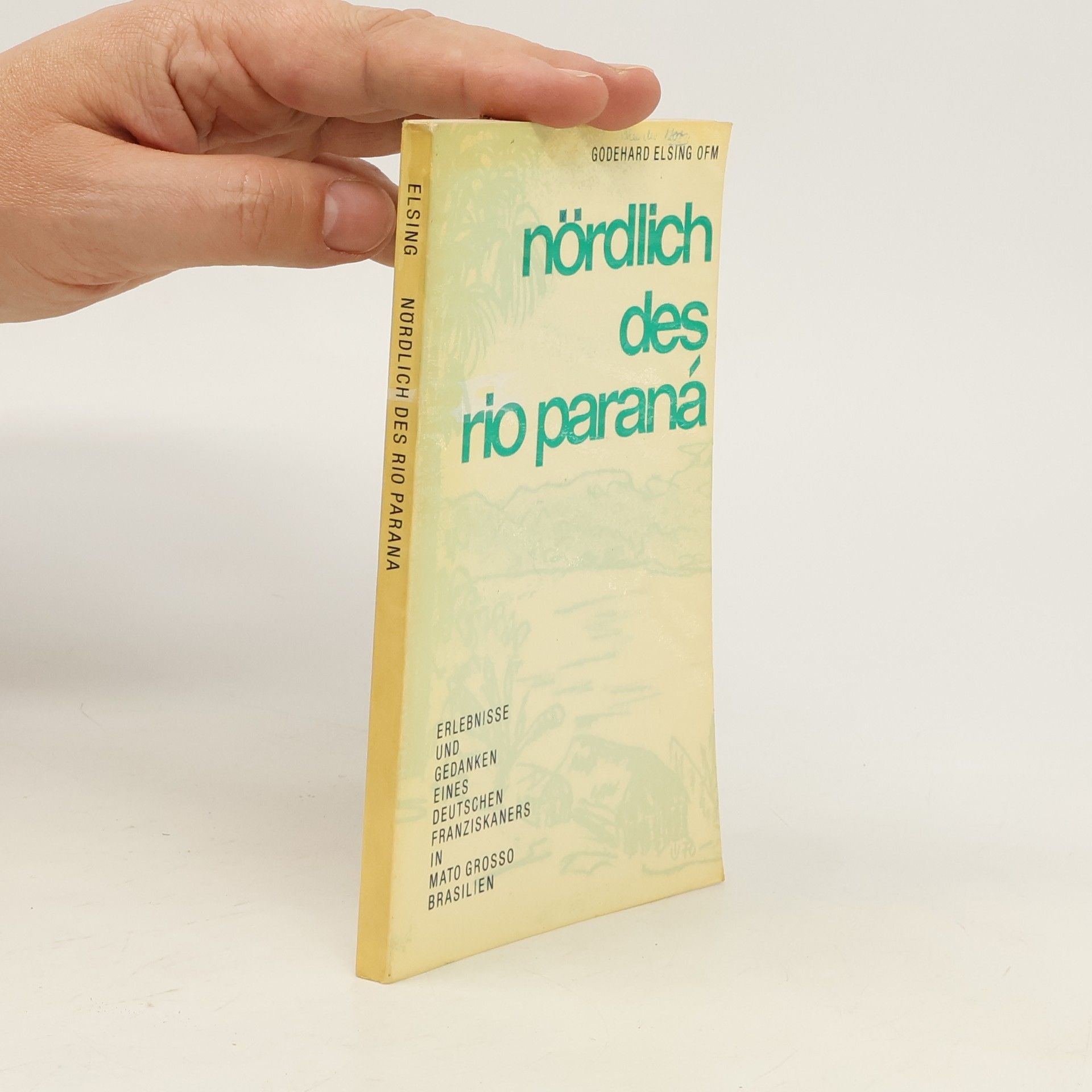 Godehard Elsing Nördlich des Rio Paraná