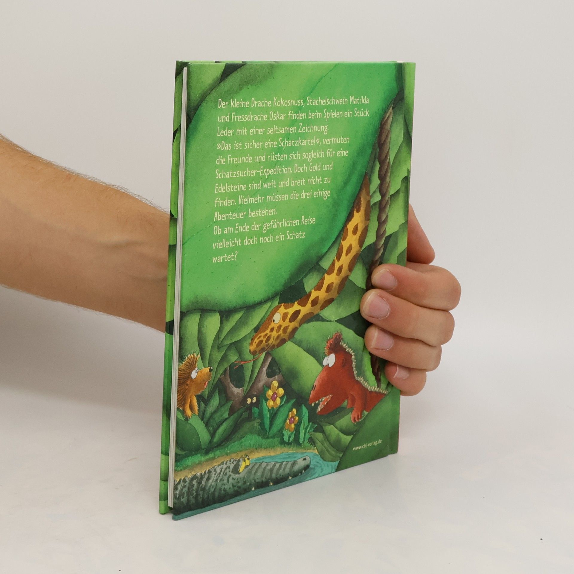 Ingo Siegner Der kleine Drache Kokosnuss und der Schatz im Dschungel