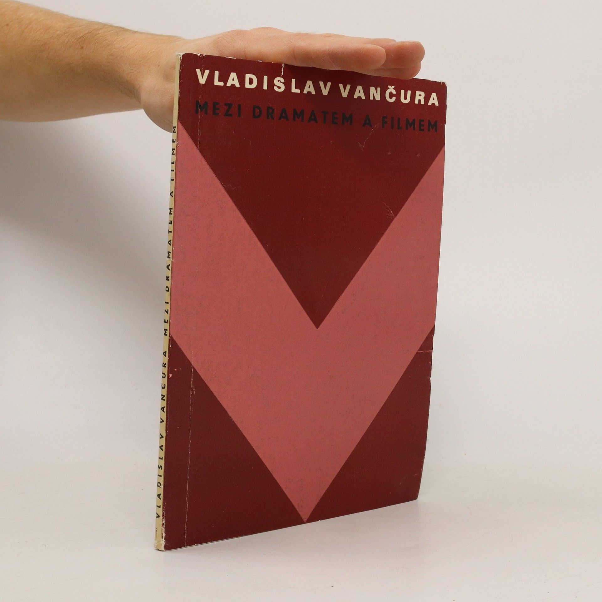 Collectif d'auteurs Vladislav Vančura mezi dramatem a filmem