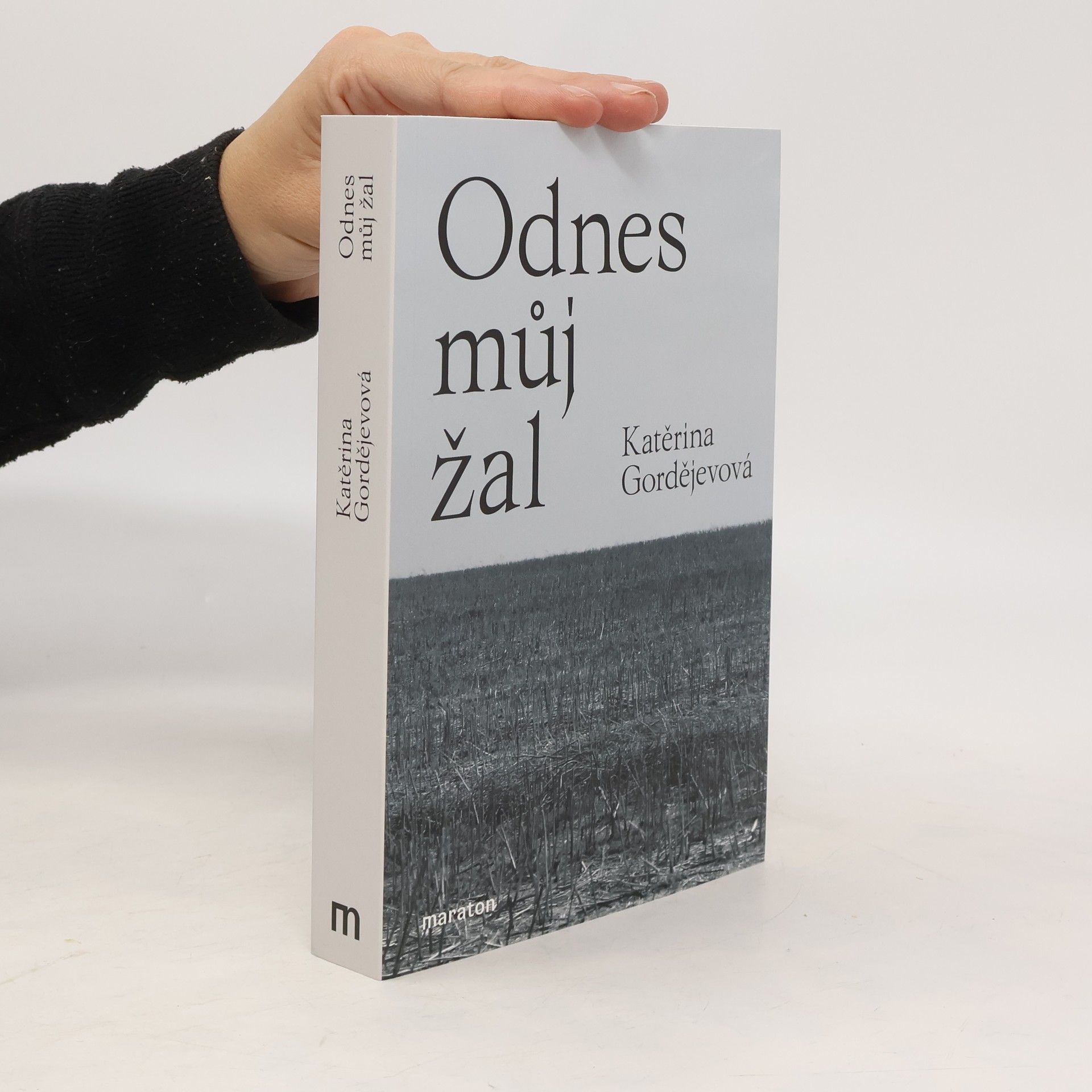 Katerina Vladimirovna Gordejeva Odnes můj žal