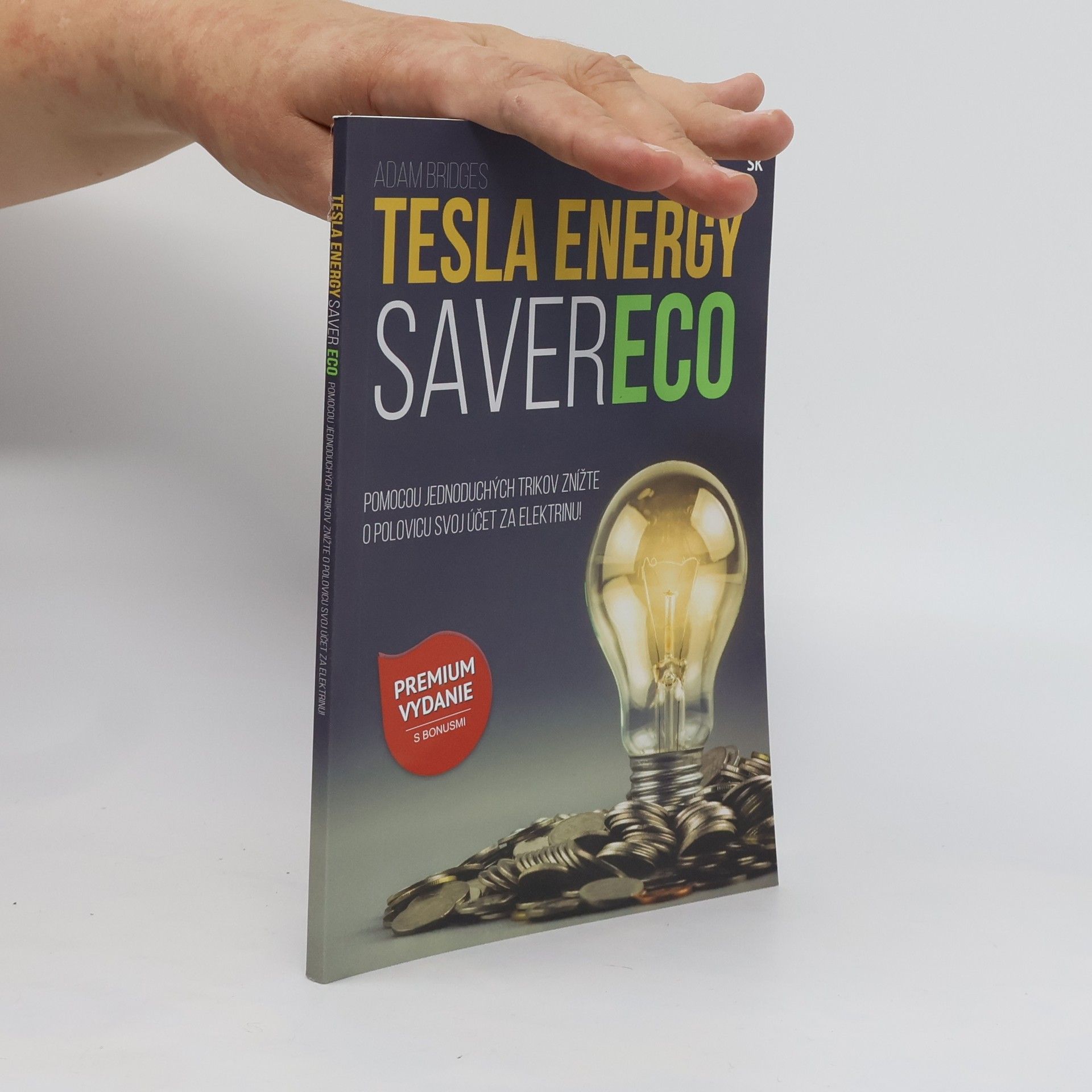 Adam Bridges Tesla Energy Saver Eco