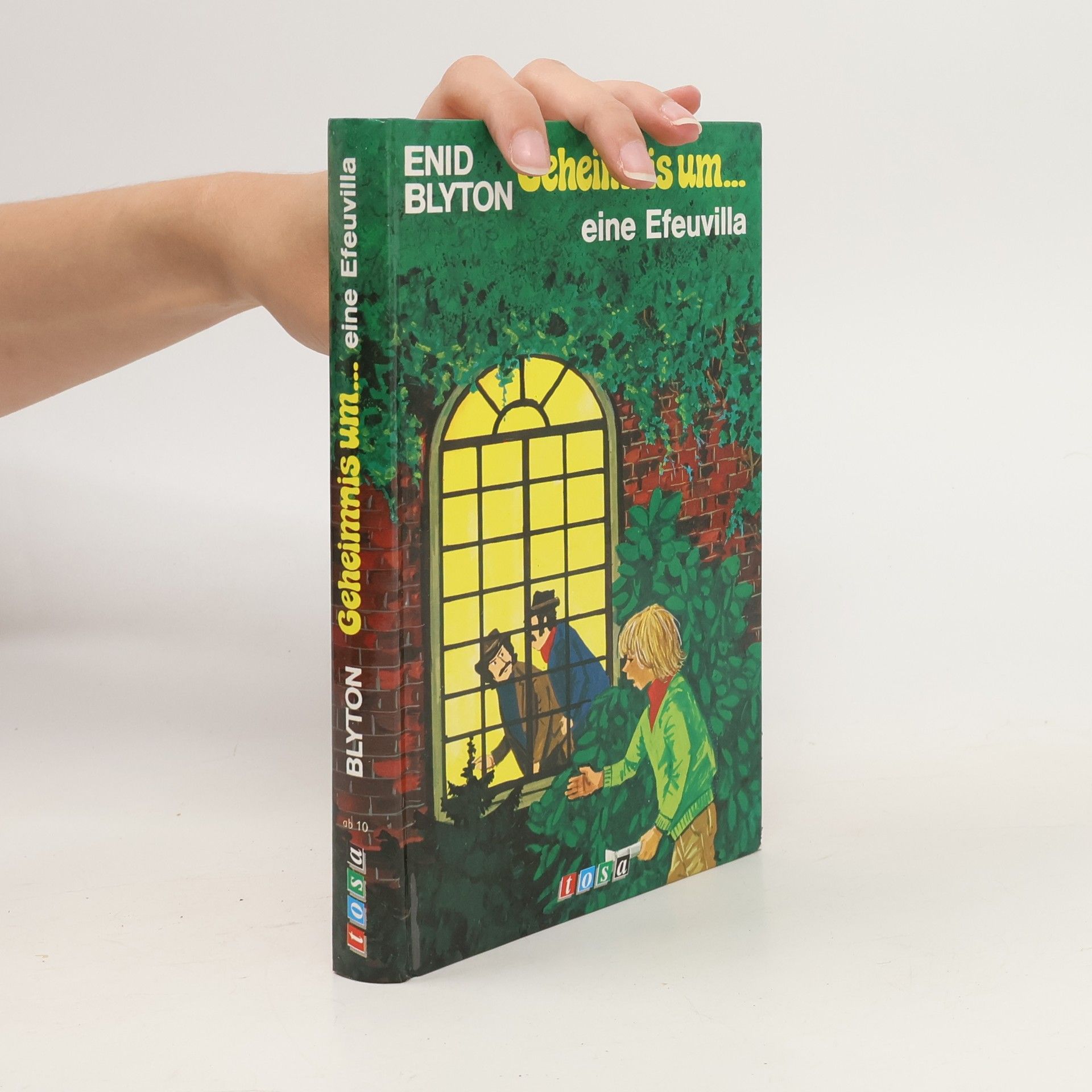 Enid Blyton Geheimnis um eine Efeuvilla