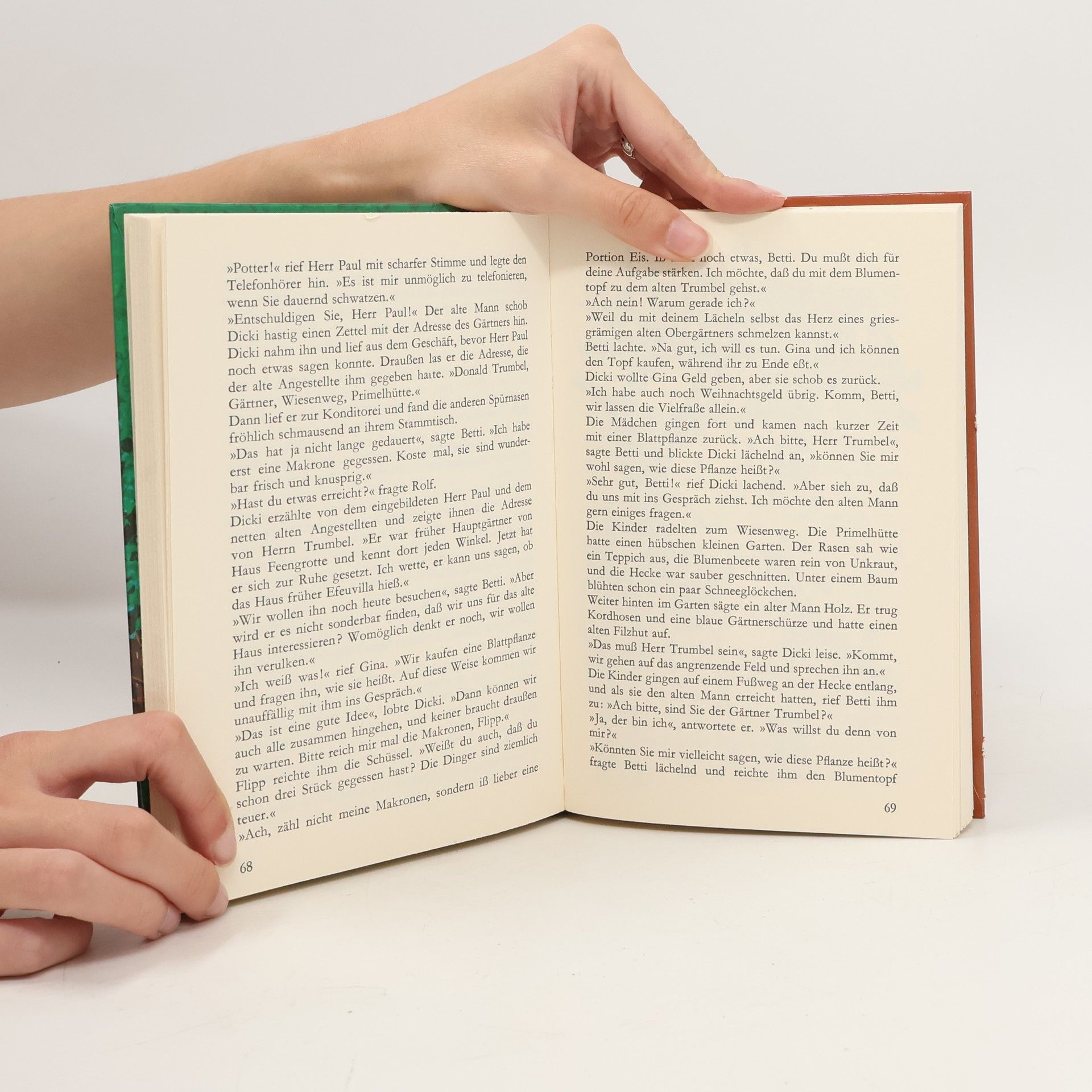 Enid Blyton Geheimnis um eine Efeuvilla