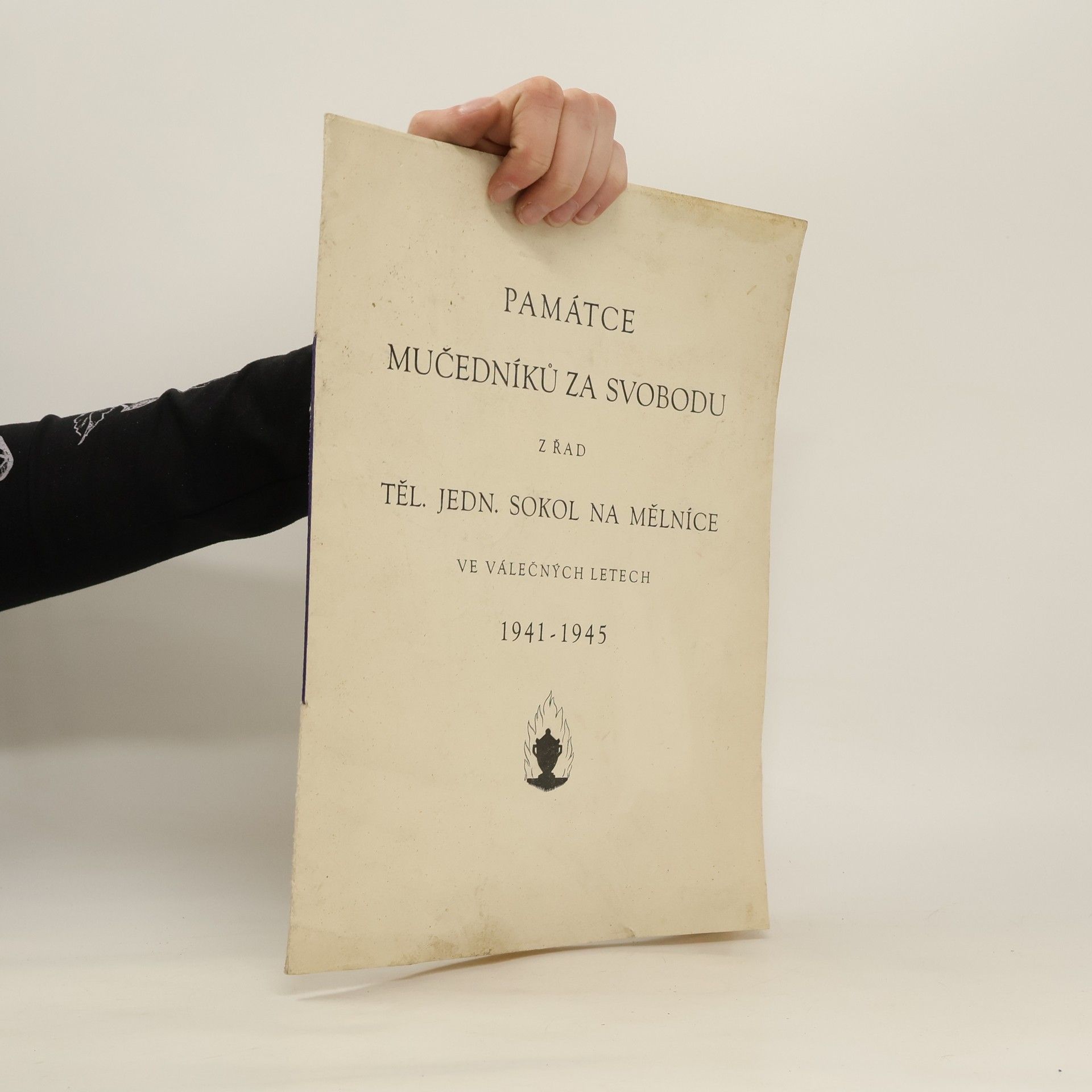 Auteurscollectief Památce mučedníků za svobodu z řad těl. jedn. Sokol na Mělníce ve válečných letech 1941-1945