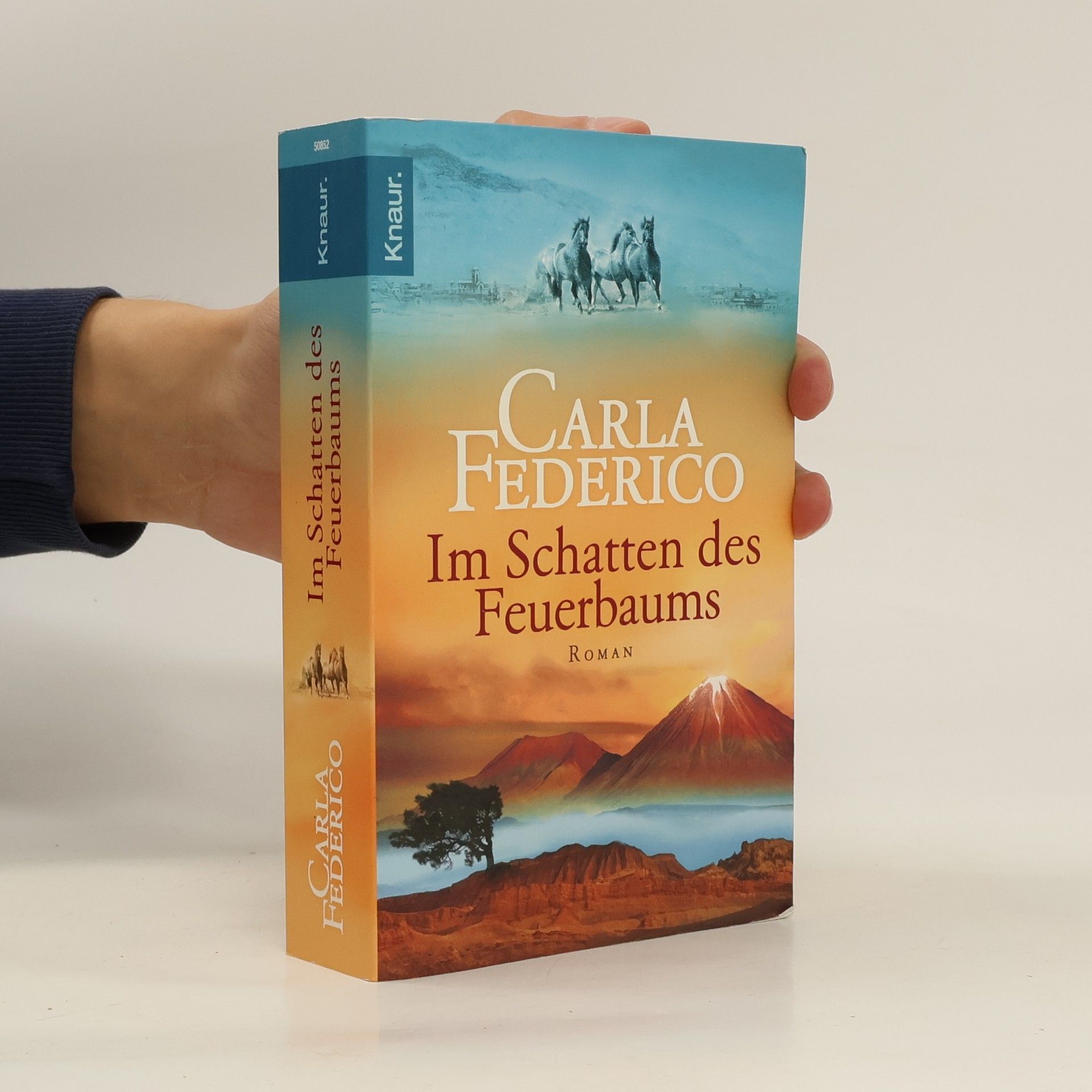 Carla Federico Im Schatten des Feuerbaums