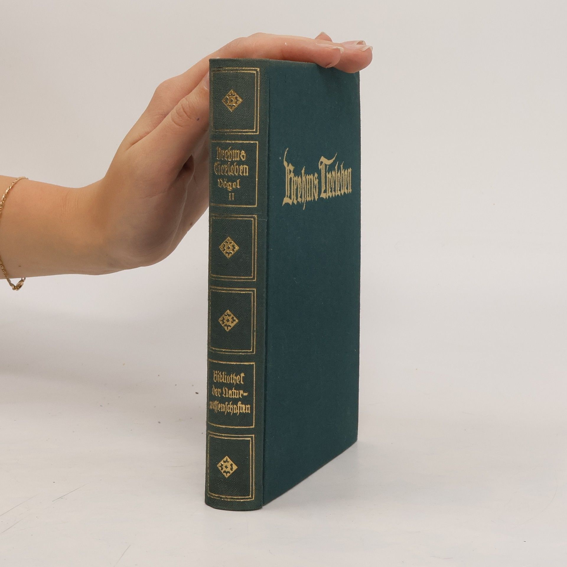 Collectif d'auteurs Vögel ;band 2